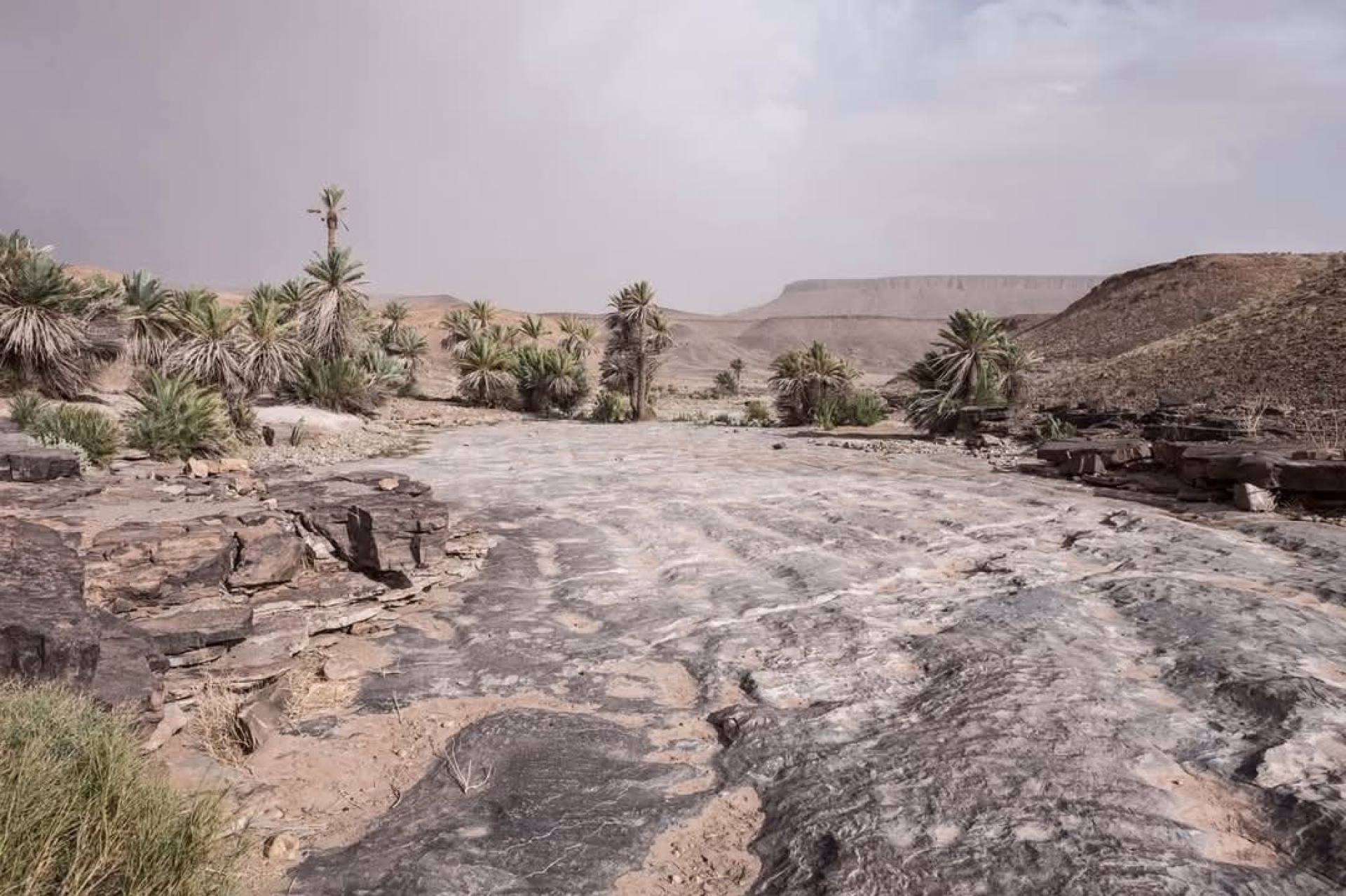 Trek Désert Maroc - 8 jours d'aventure entre montagnes et dunes