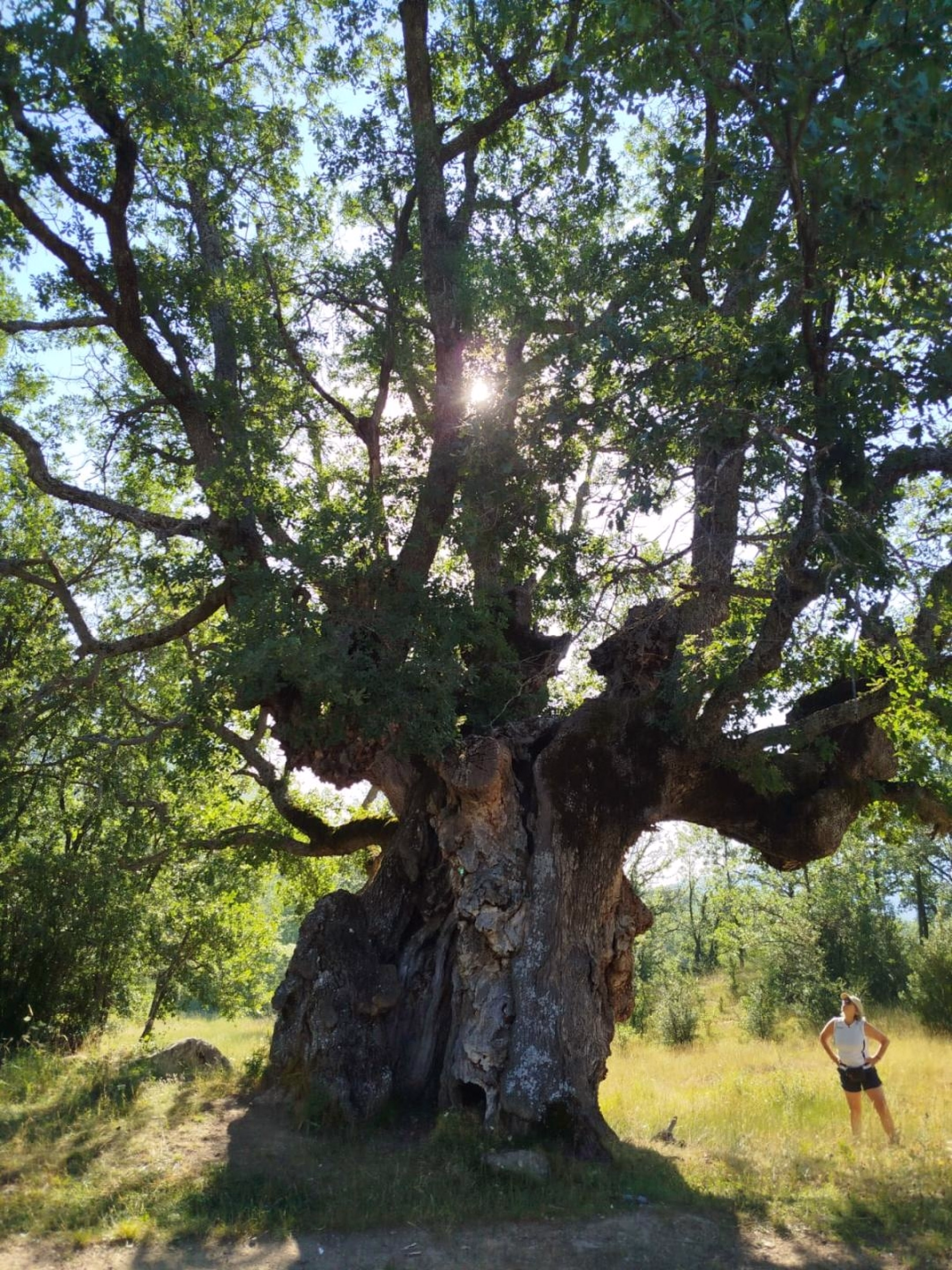Randonnée et Art Martial Sensoriel en Sierra de Guara