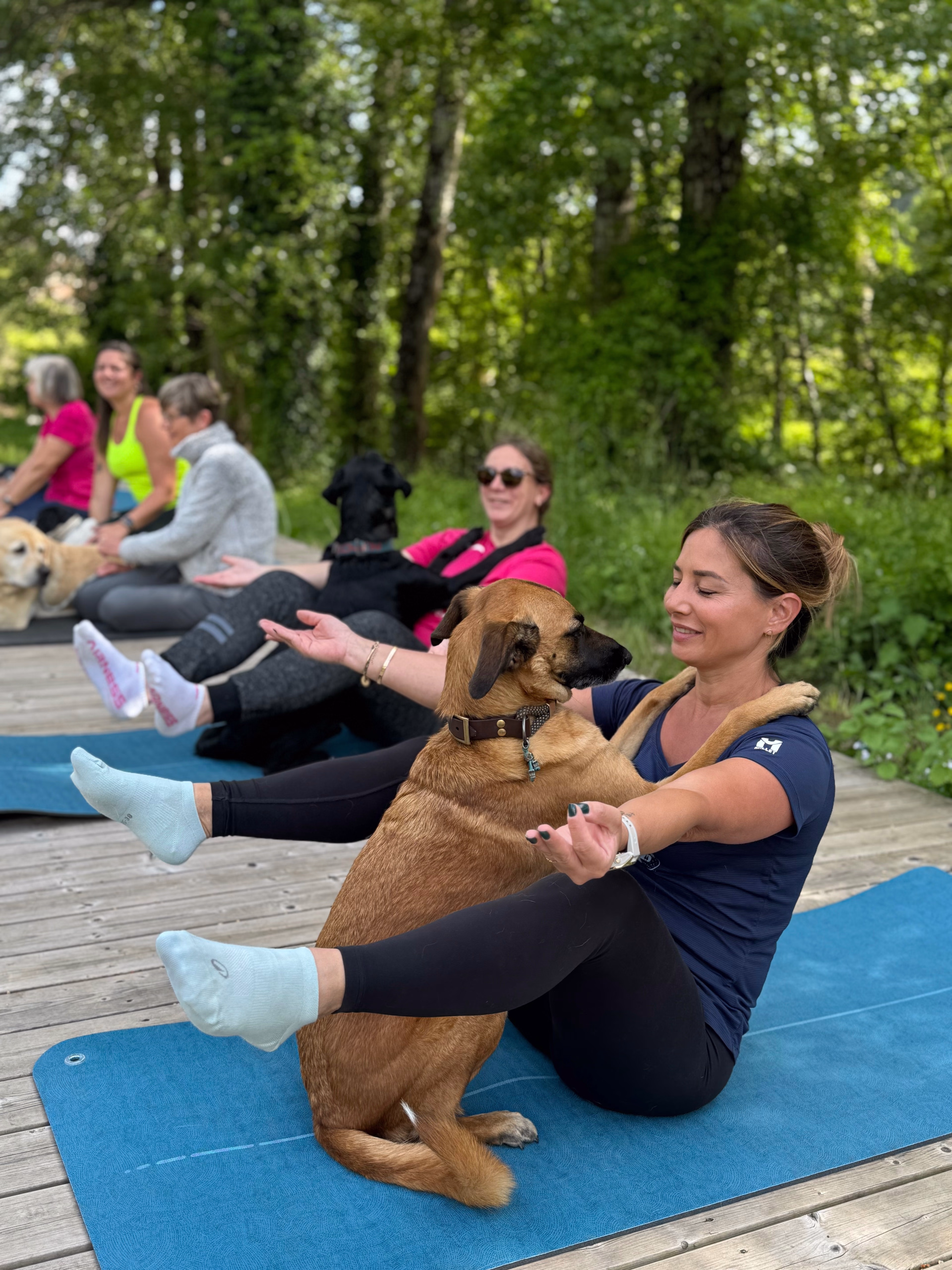 Séjour randonnée et doga dans le Gard avec votre chien