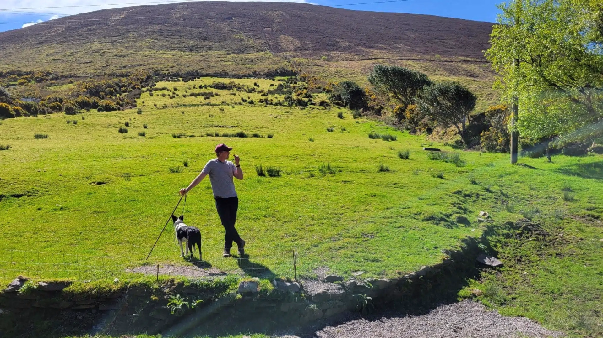 Randonnée en liberté de 5 jours sur le Kerry Way