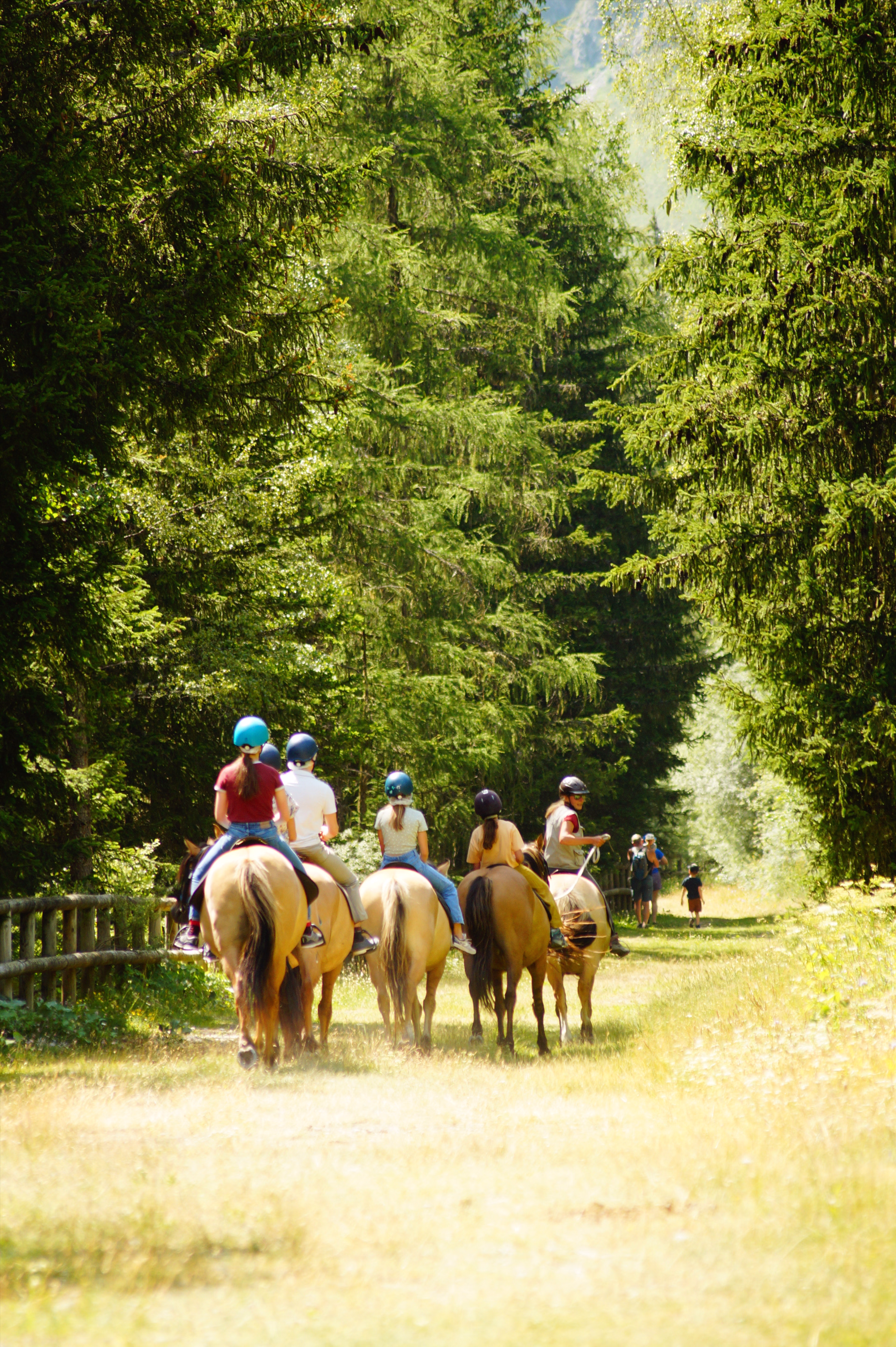 Randonnée équestre en famille au refuge en Vanoise
