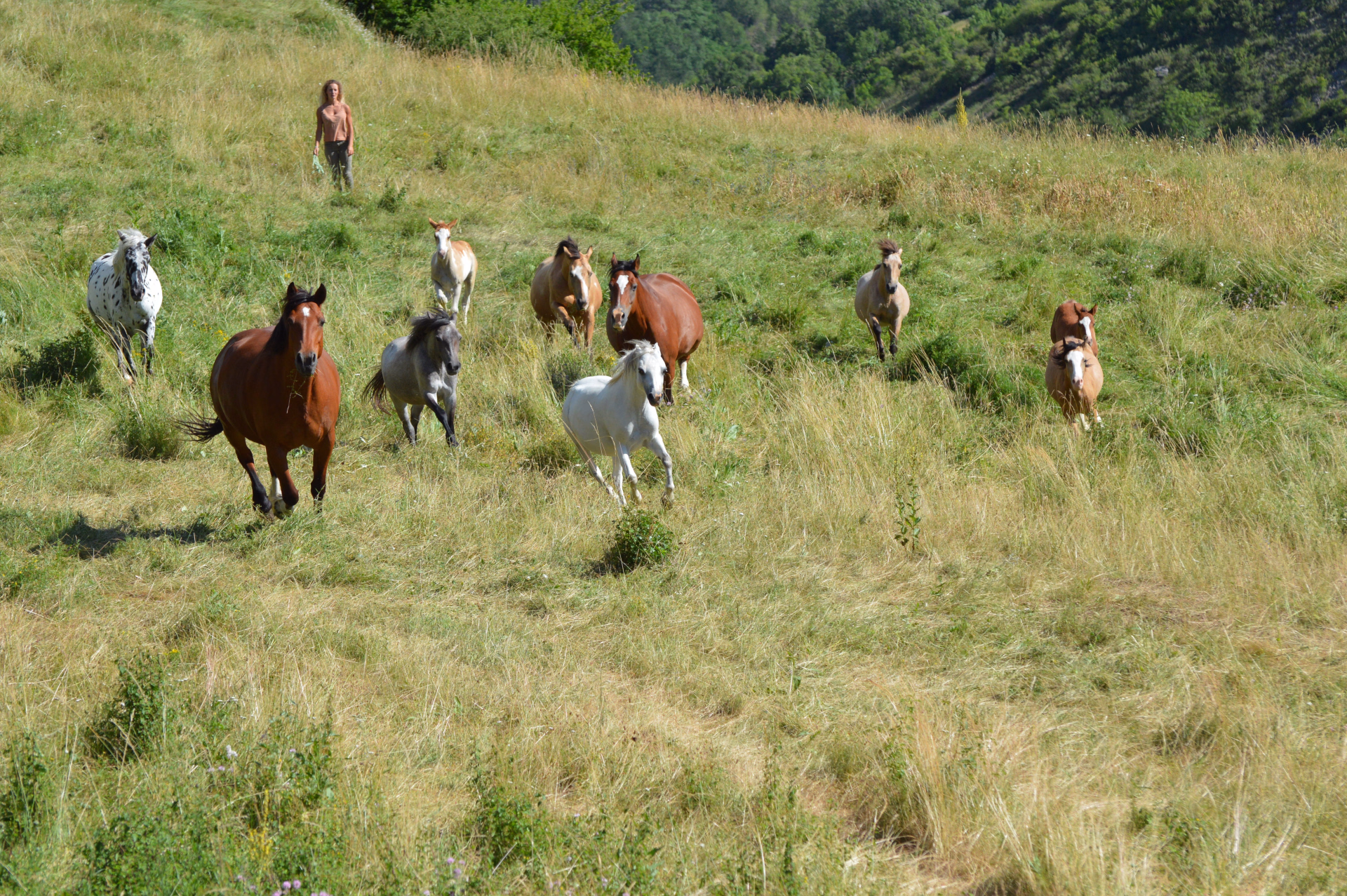 Week-end à cheval au cœur de la nature à Barles