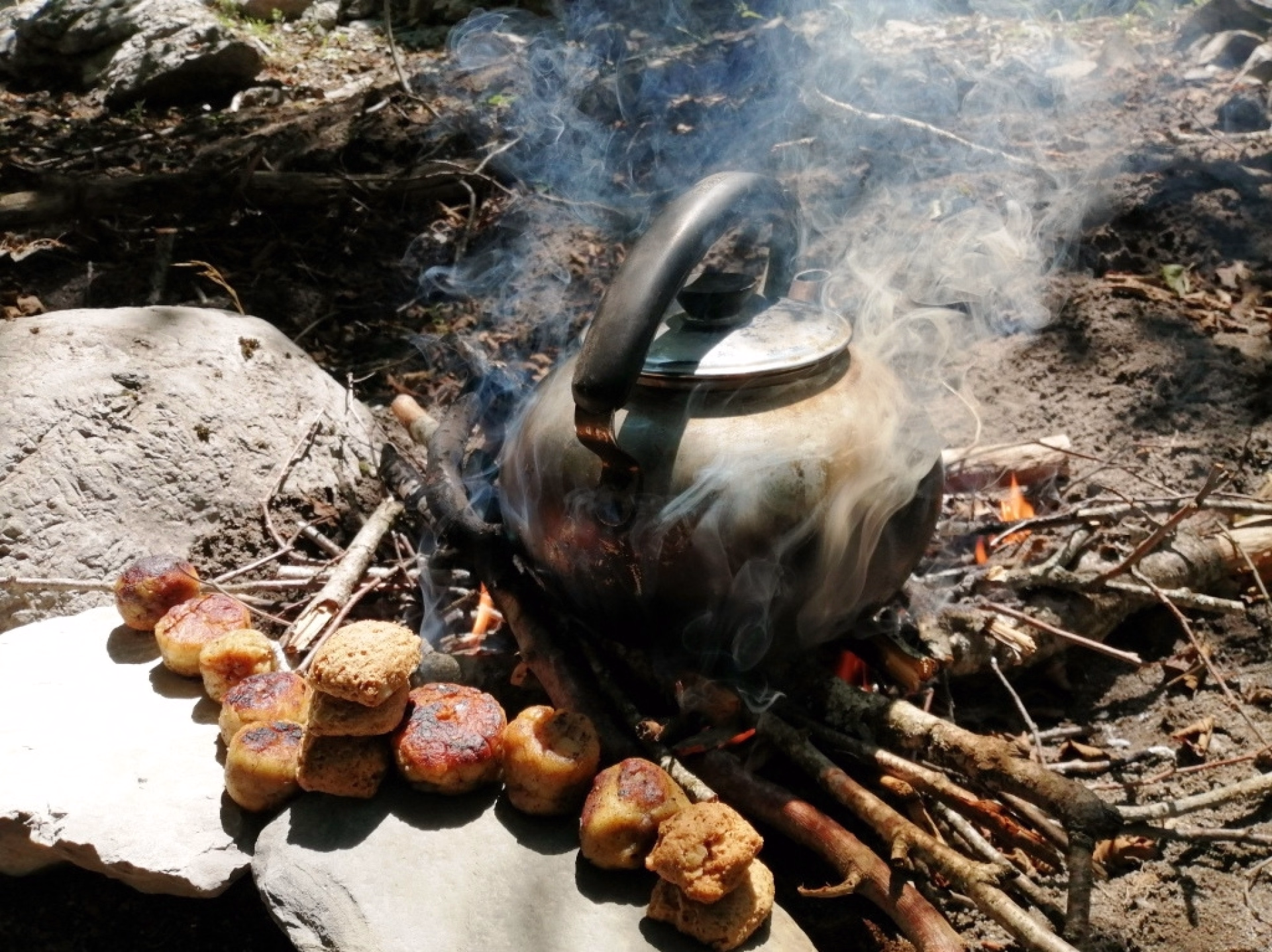 Randonnée et bivouac sur les traces du loup dans les Hautes-Alpes