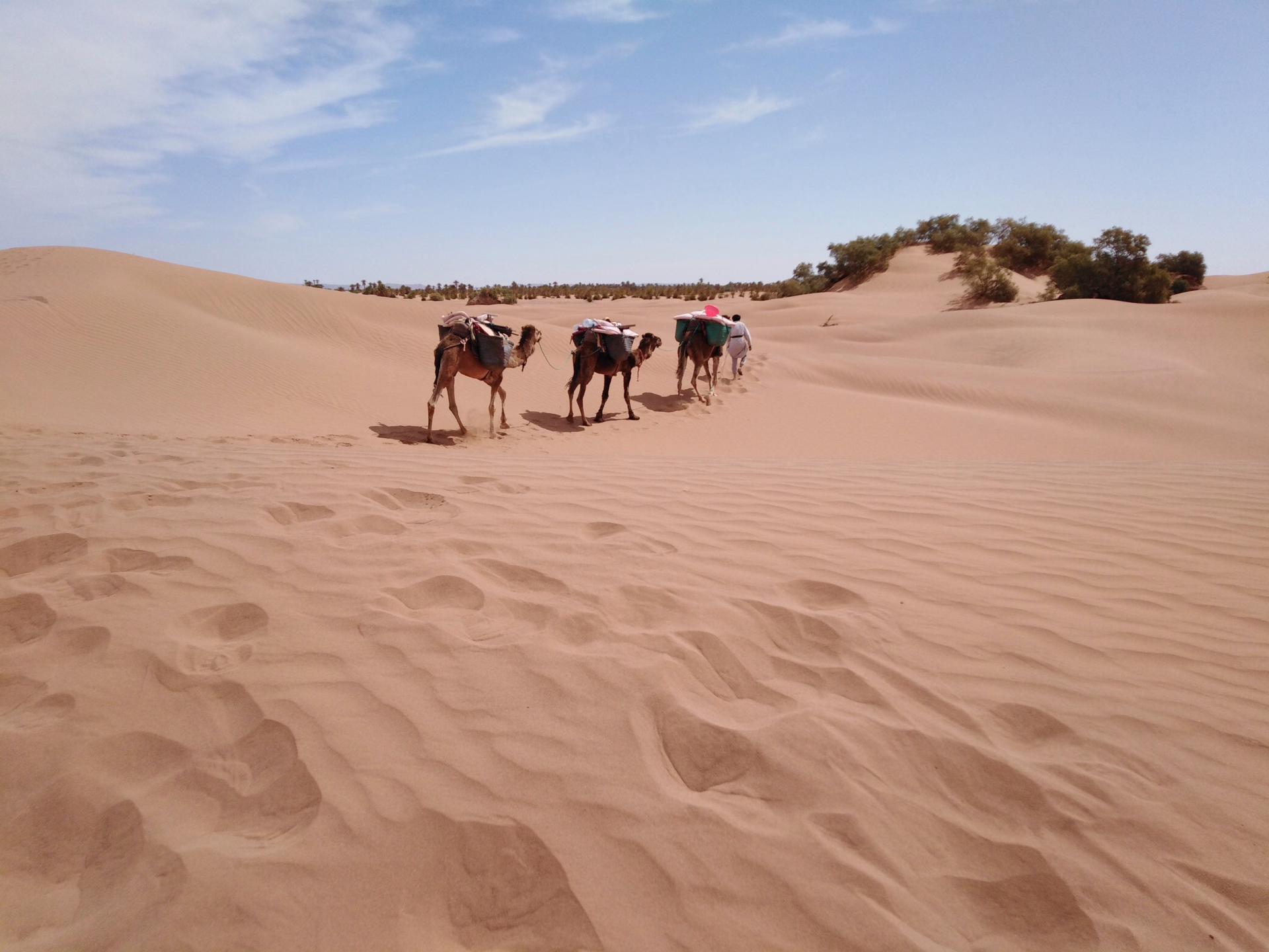 Excursion trek de 4 jours dans le désert marocain
