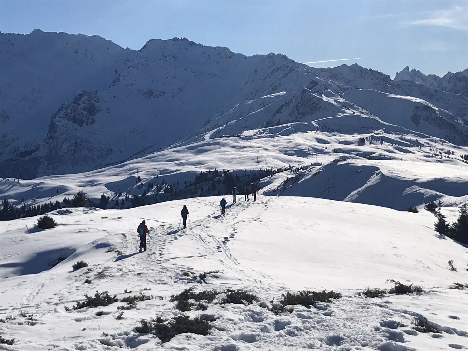 Raquettes à neige au cœur du Massif de Bellebonne, face au Mont Blanc