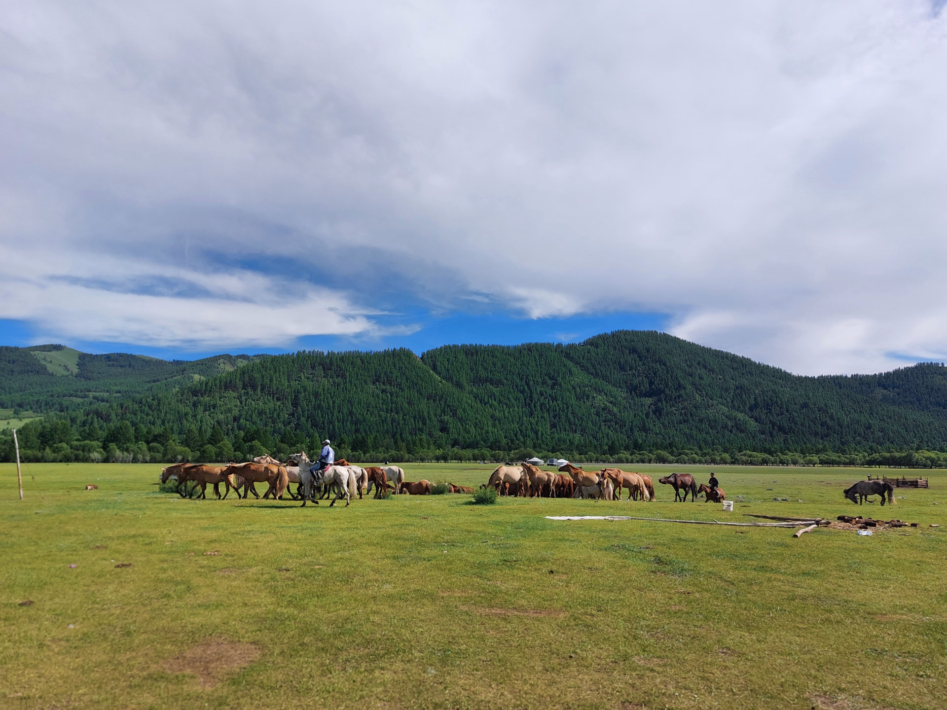 Randonnée à cheval dans le parc national de Terelj en Mongolie