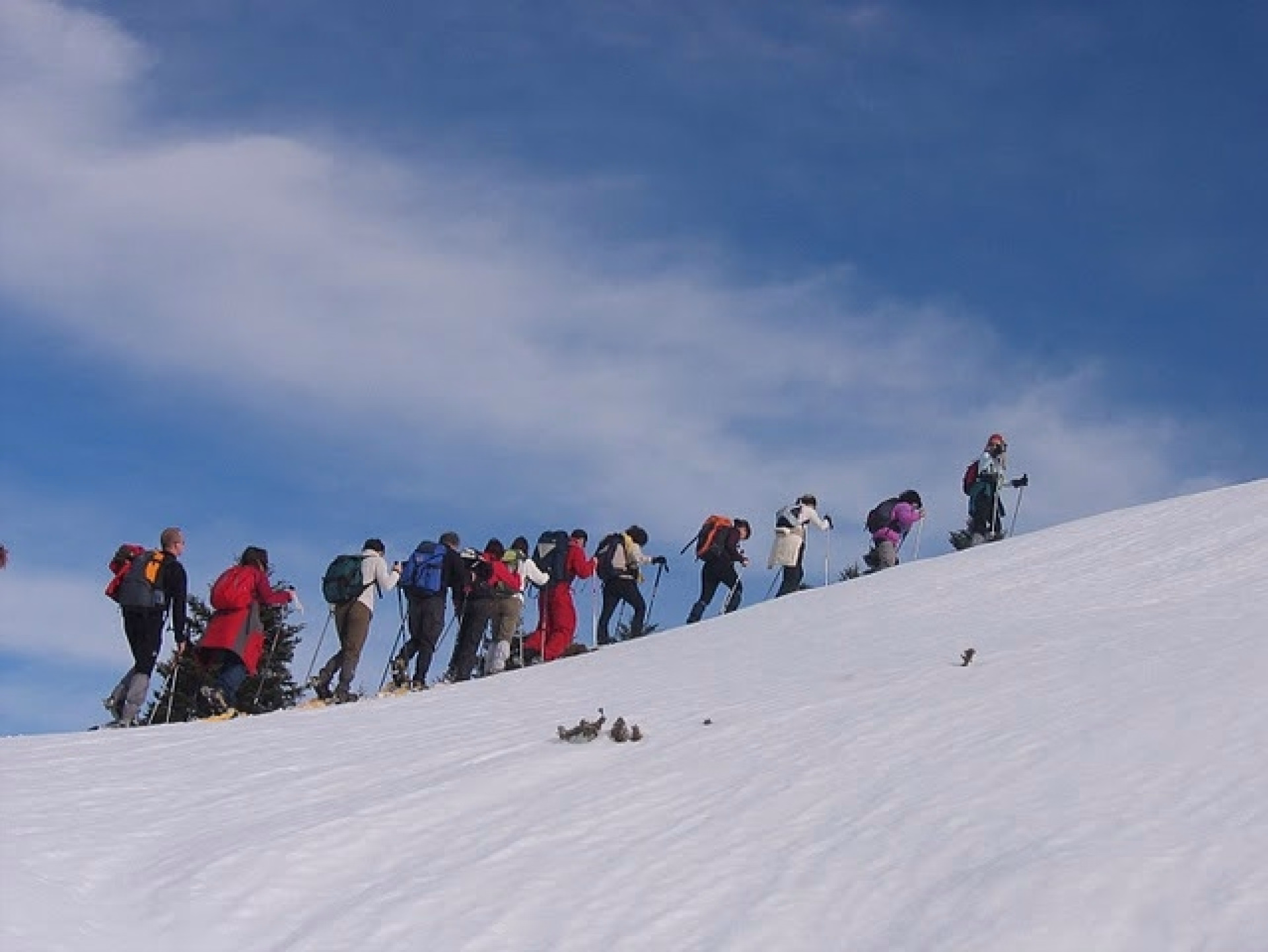 Réveillon en raquettes au refuge de Montgarri dans les Pyrénées