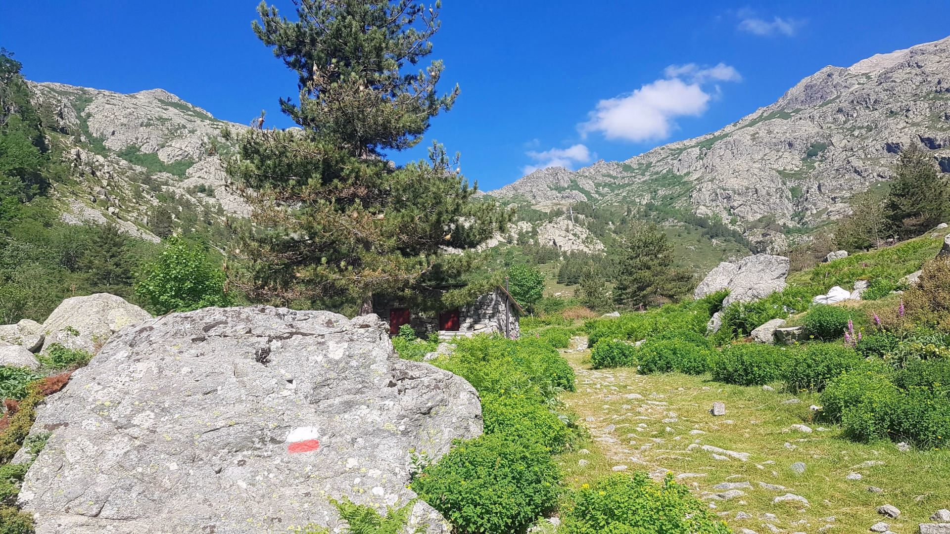 GR20 Nord intégral avec guide