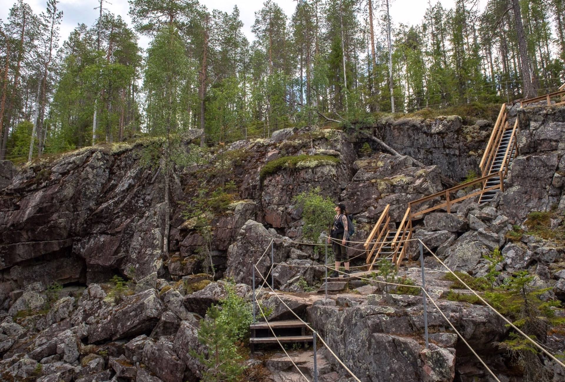 Randonnée dans la Taïga sauvage Finlandaise
