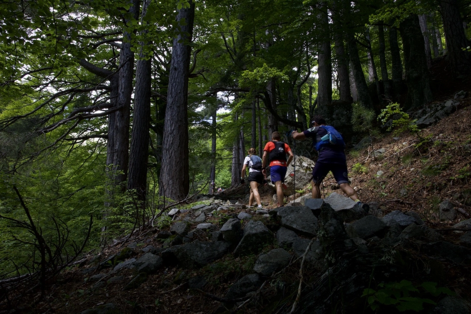 La Corse En Trail Sur Les Hauteurs D Ajaccio Entre Mer Et Montagnes