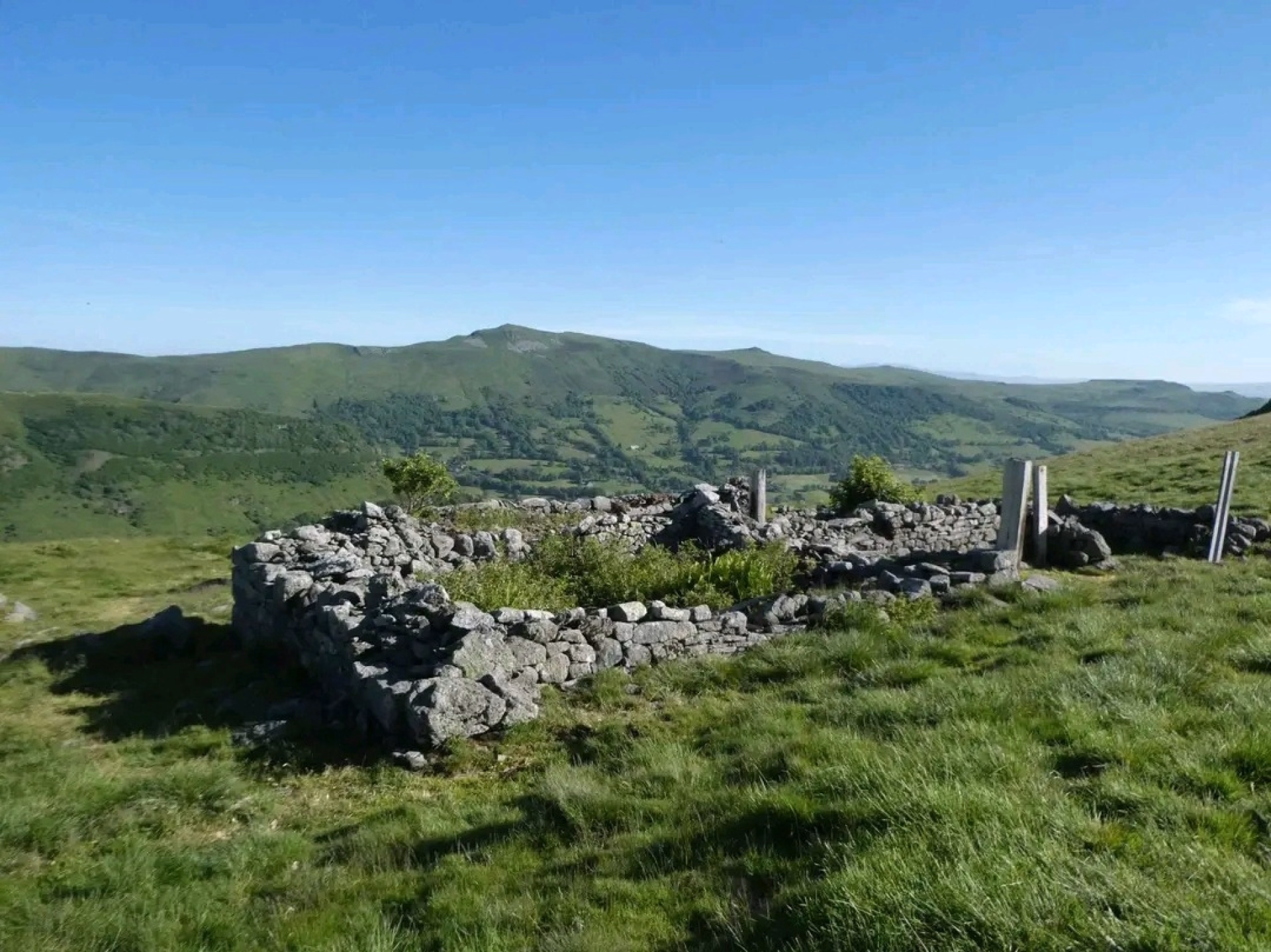 Randonnées pédestres sur le grand volcan du Cantal