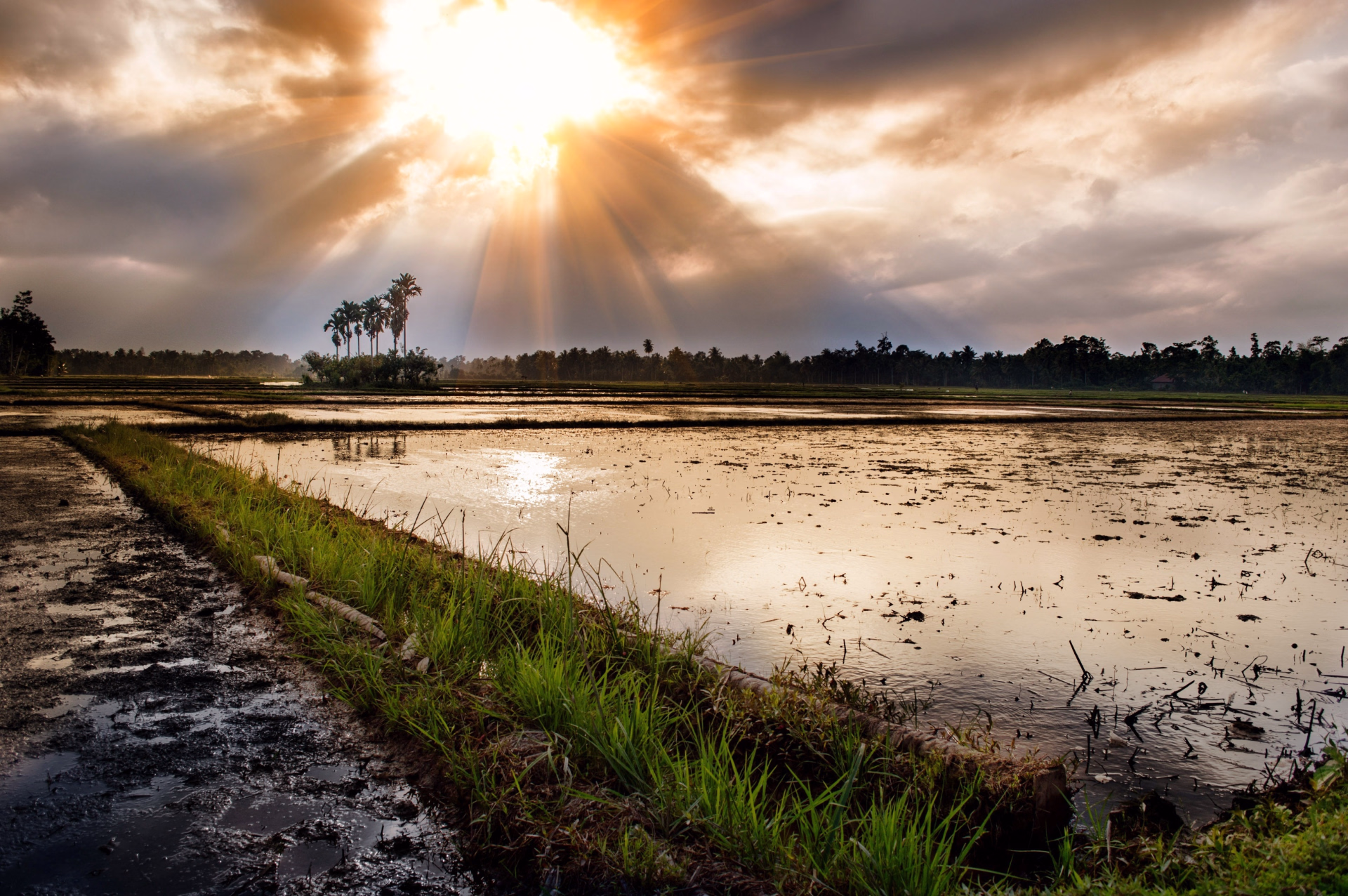 Tour éducatif de Phnom Penh – Battambang – Siem Reap