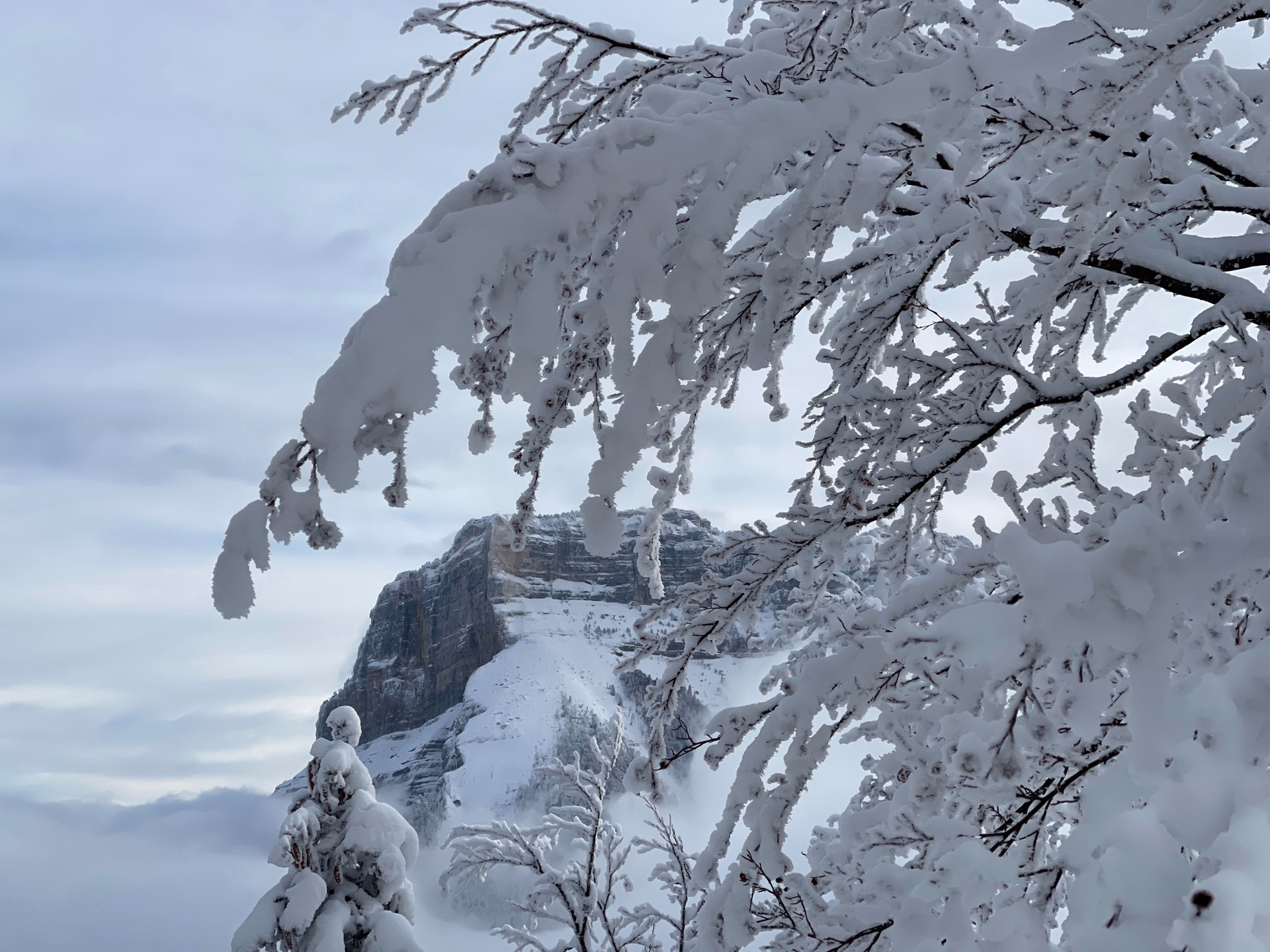 Neige et paysages de Chartreuse en raquettes