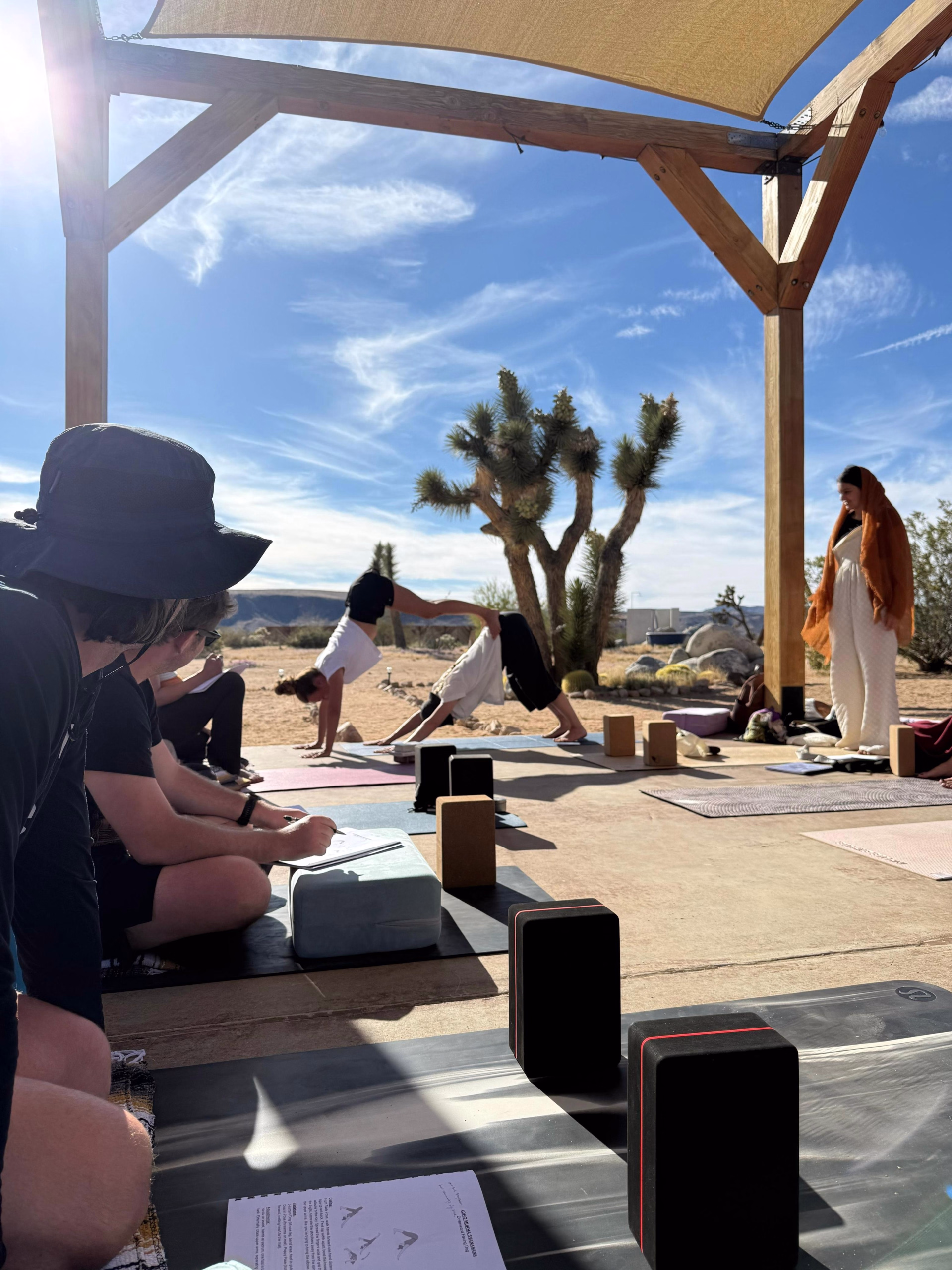 Désert sauvage — 6 jours de yoga & d'aventure à Joshua Tree