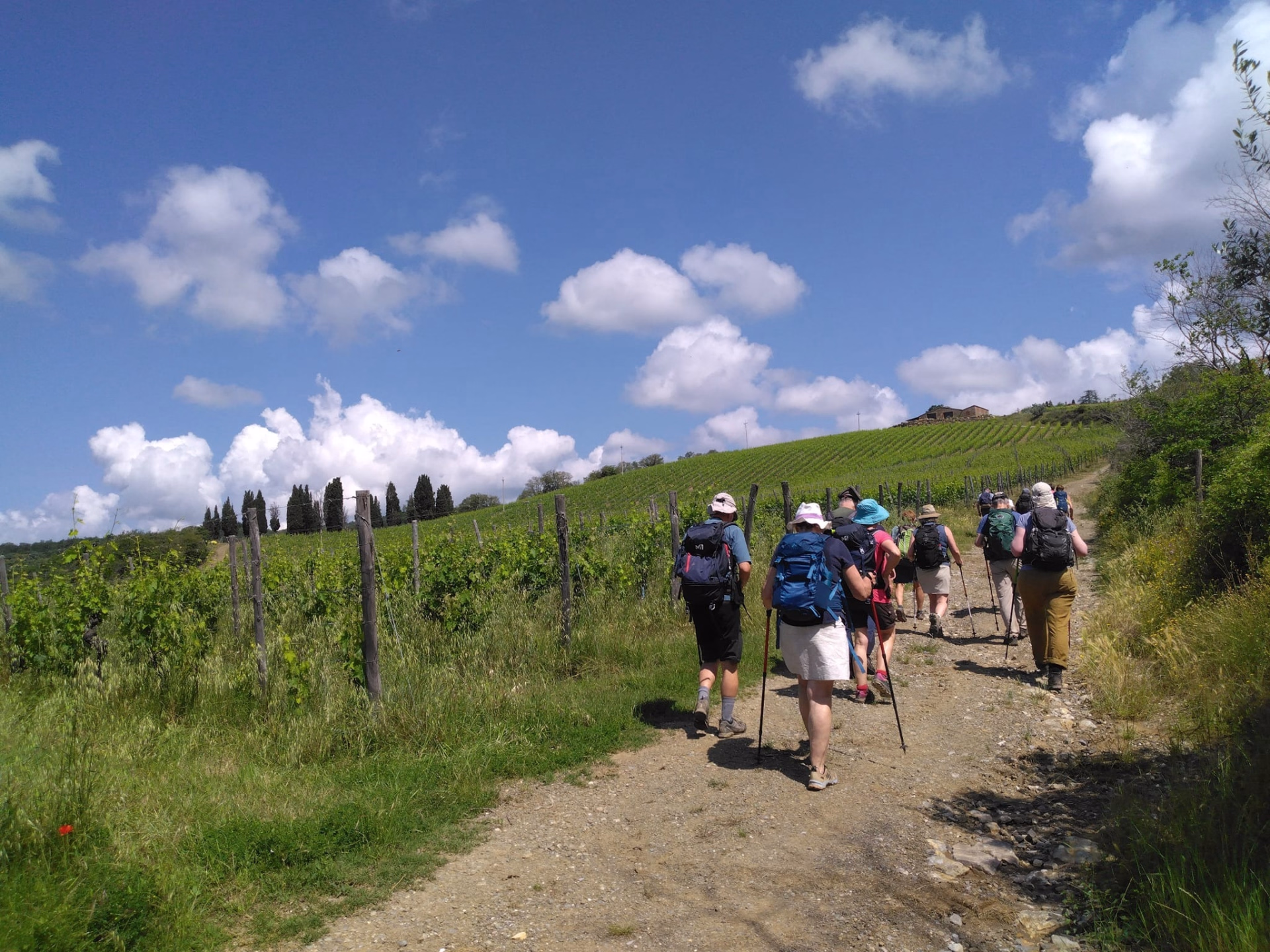 Le Chianti : la Toscane de Florence à Sienne