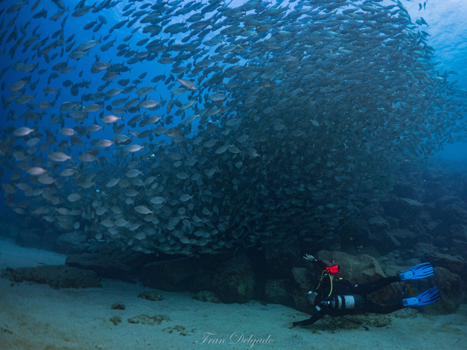 Certification plongée Open Water à Lanzarote