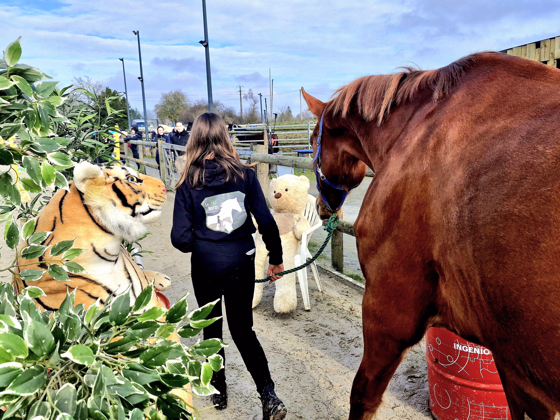 Week-end éthologie à Rennes