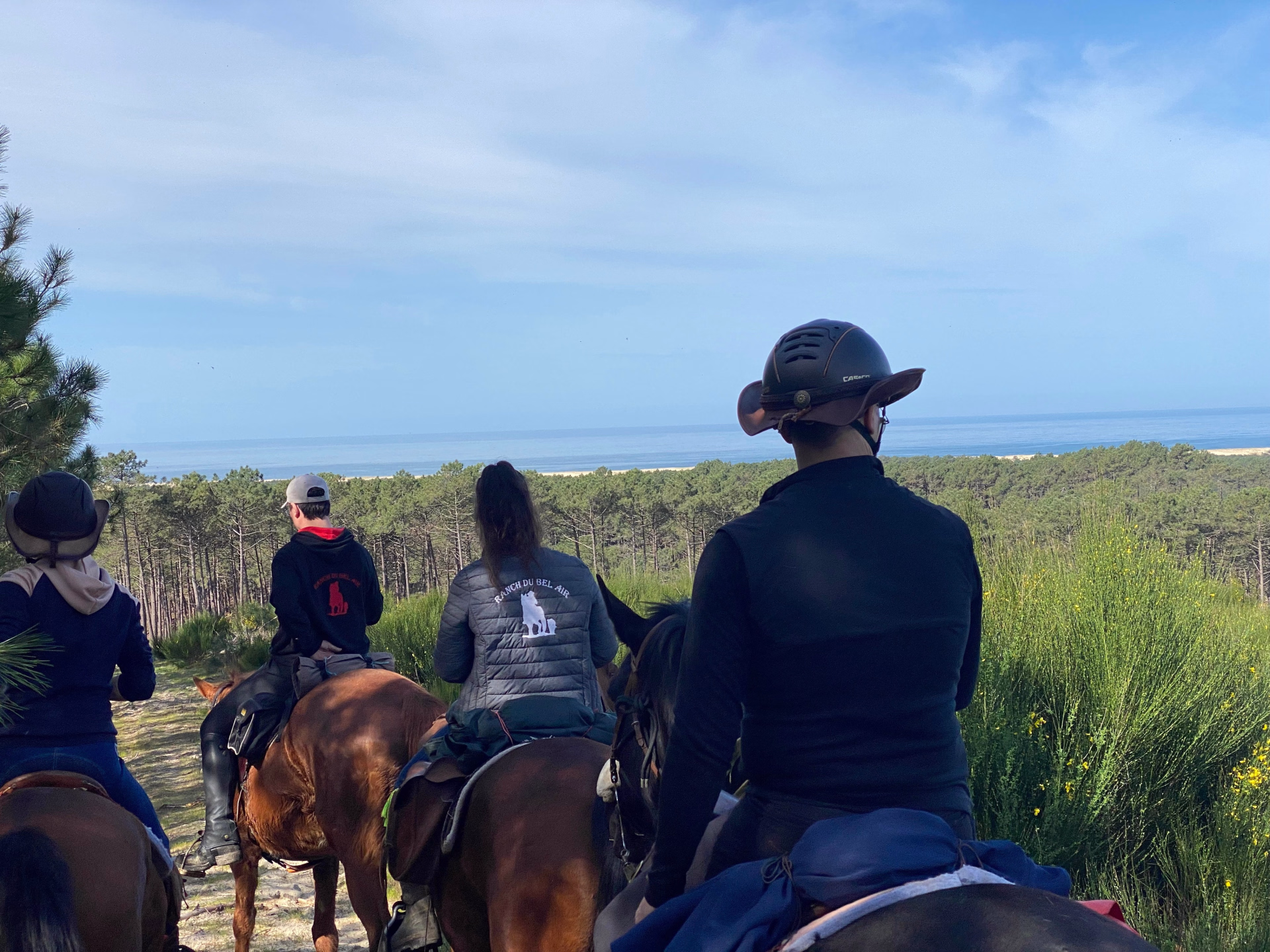 Randonnée Équestre sur l'Île d'Oléron