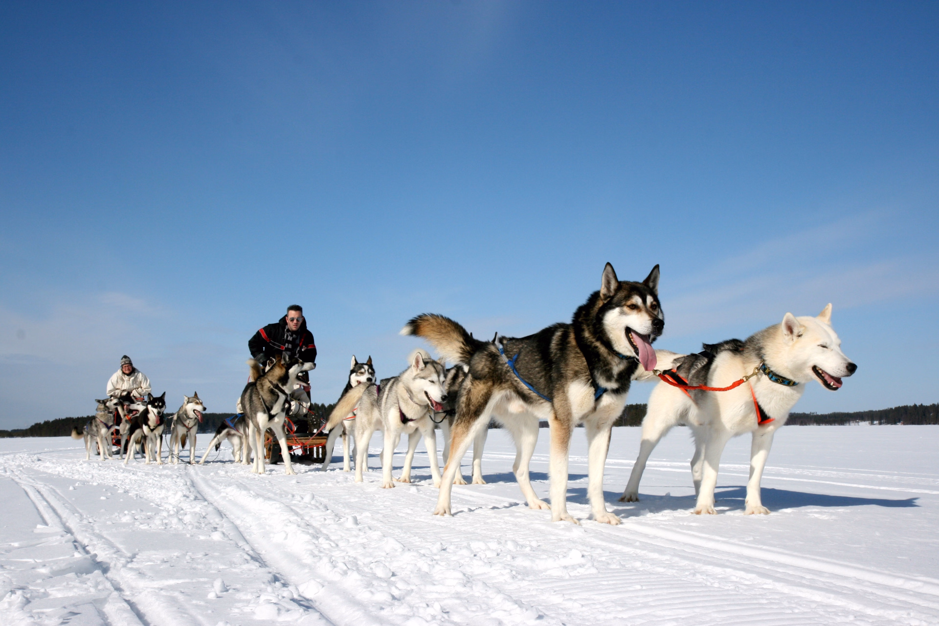 Aventure du Nouvel An Arctique