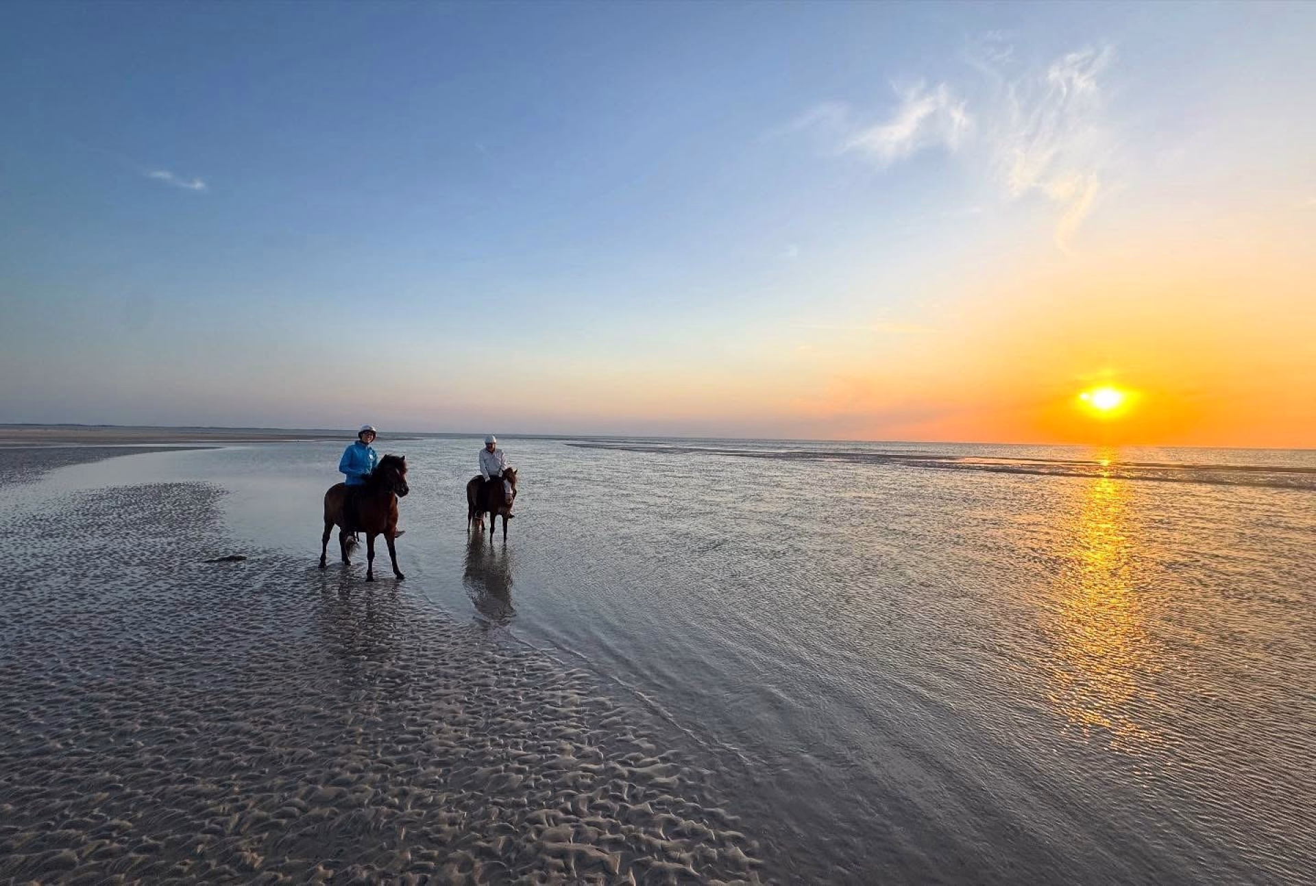 Randonnée équestre sur les plages du Danemark entre fjords et Wadden