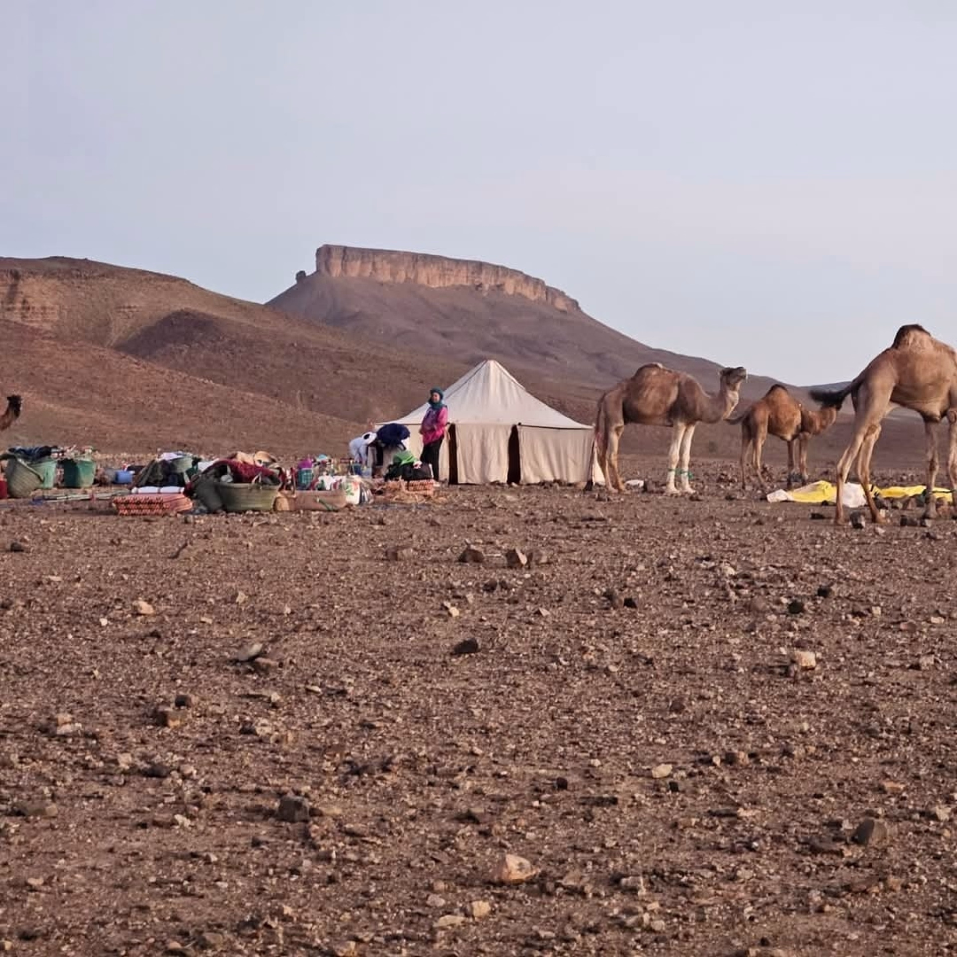 Trek Désert Maroc - 8 jours d'aventure entre montagnes et dunes