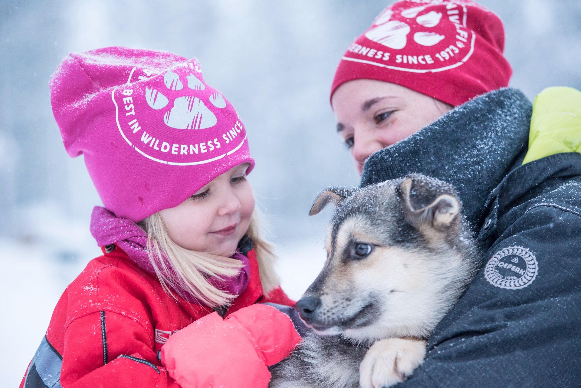 Rencontre magique avec le Père Noël en Laponie Finlandaise