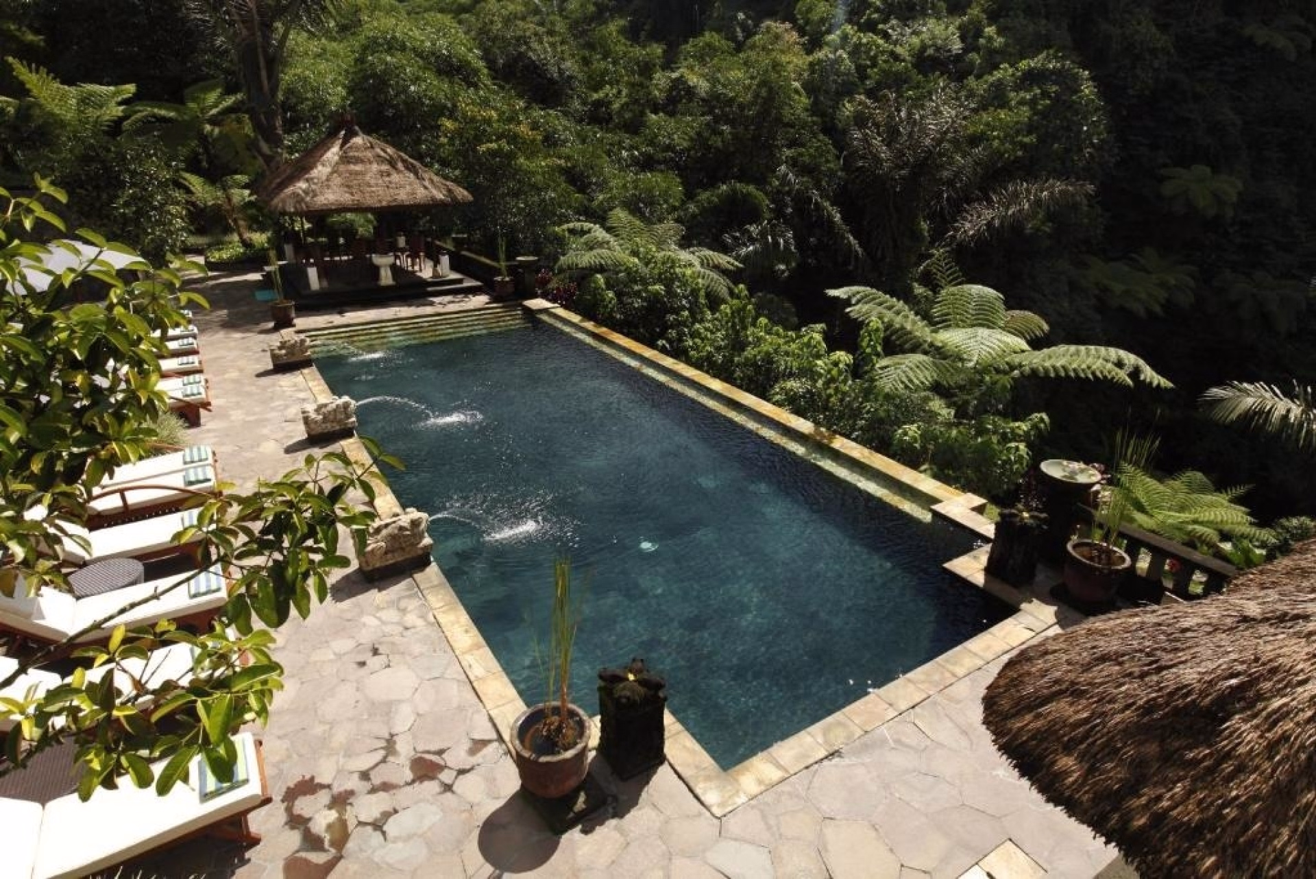 4 jours de Yoga au cœur des forêts tropicales d'Ubud