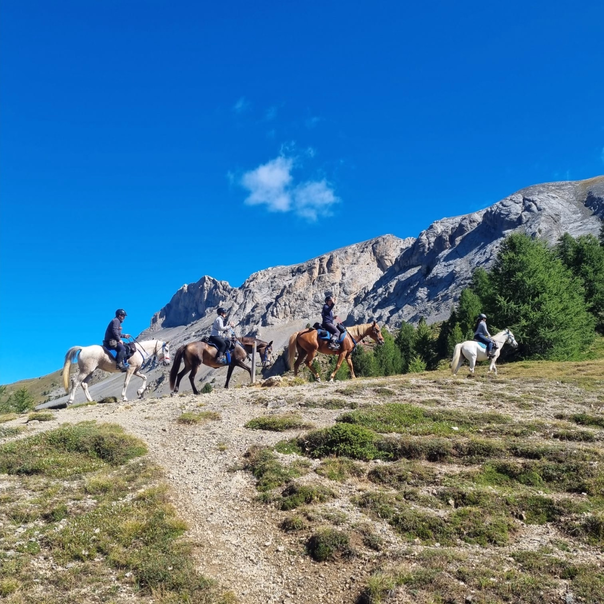 Trek des lacs et panoramas du Viso en Queyras