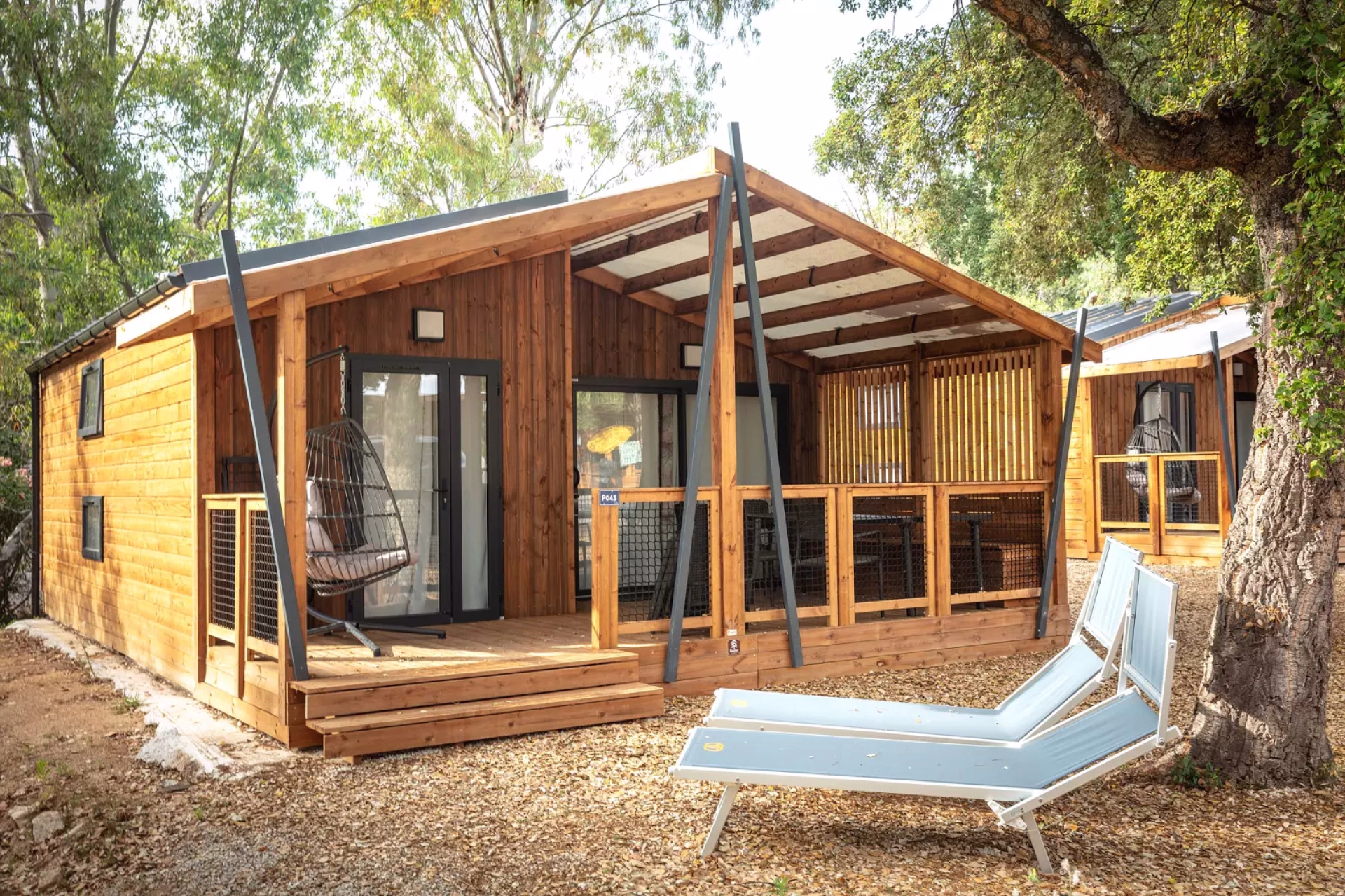 Stage natation en bassin olympique à Saint-Tropez avec Anna Santamans