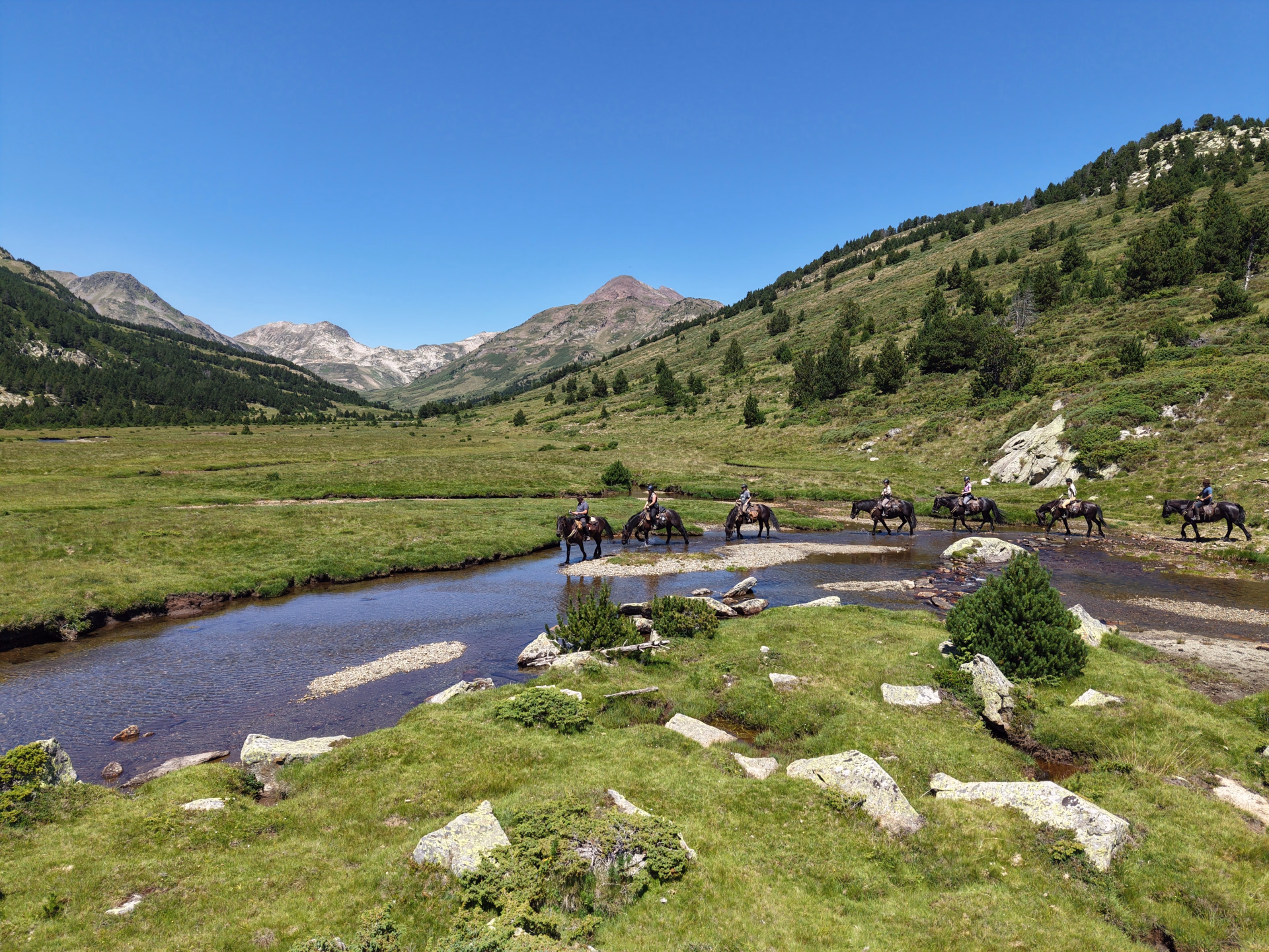 Brame du cerf en Pyrénées catalanes à cheval