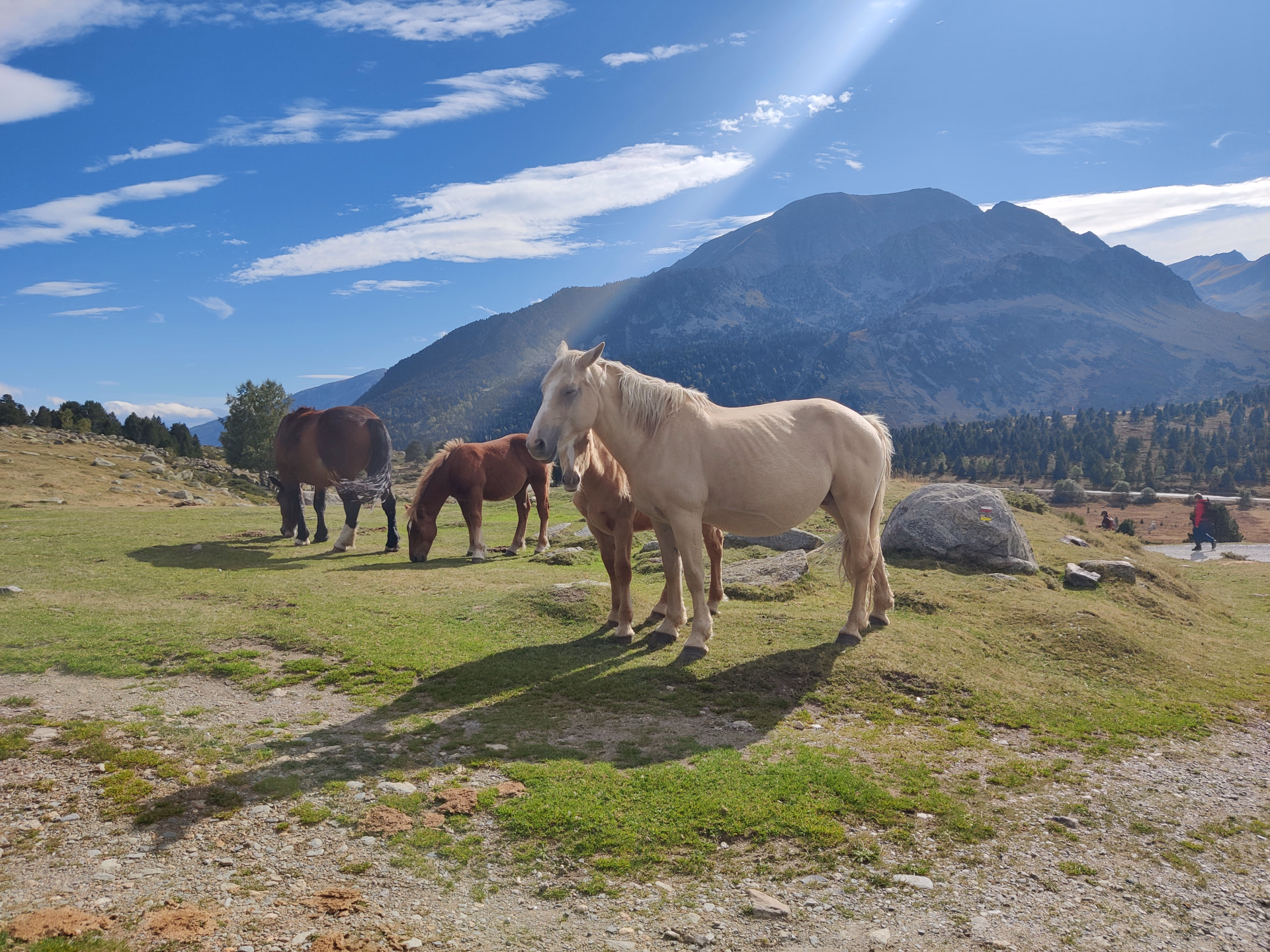 Randonnée dans les Pyrénées