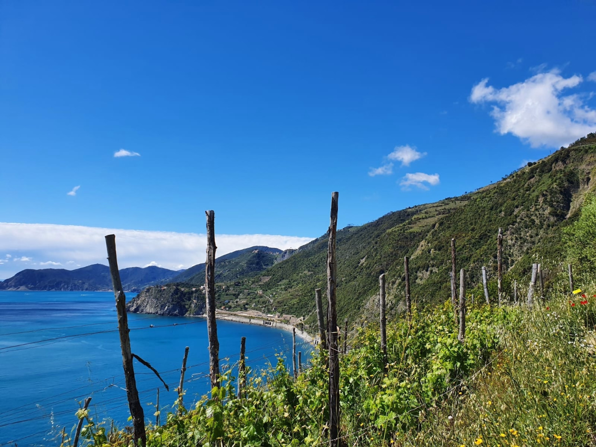 Randonnée dans les Cinque Terre et presqu'île de Portofino