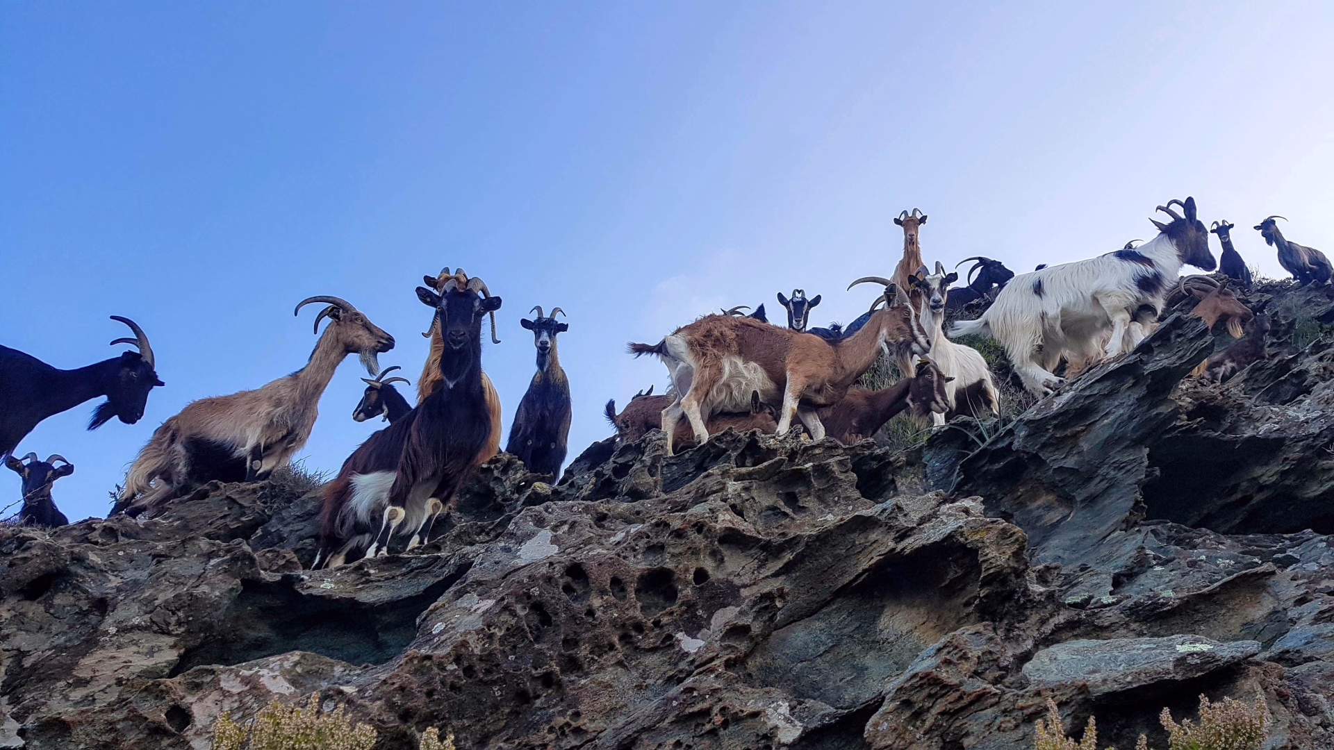 Le GR20 Sud intégral avec guide