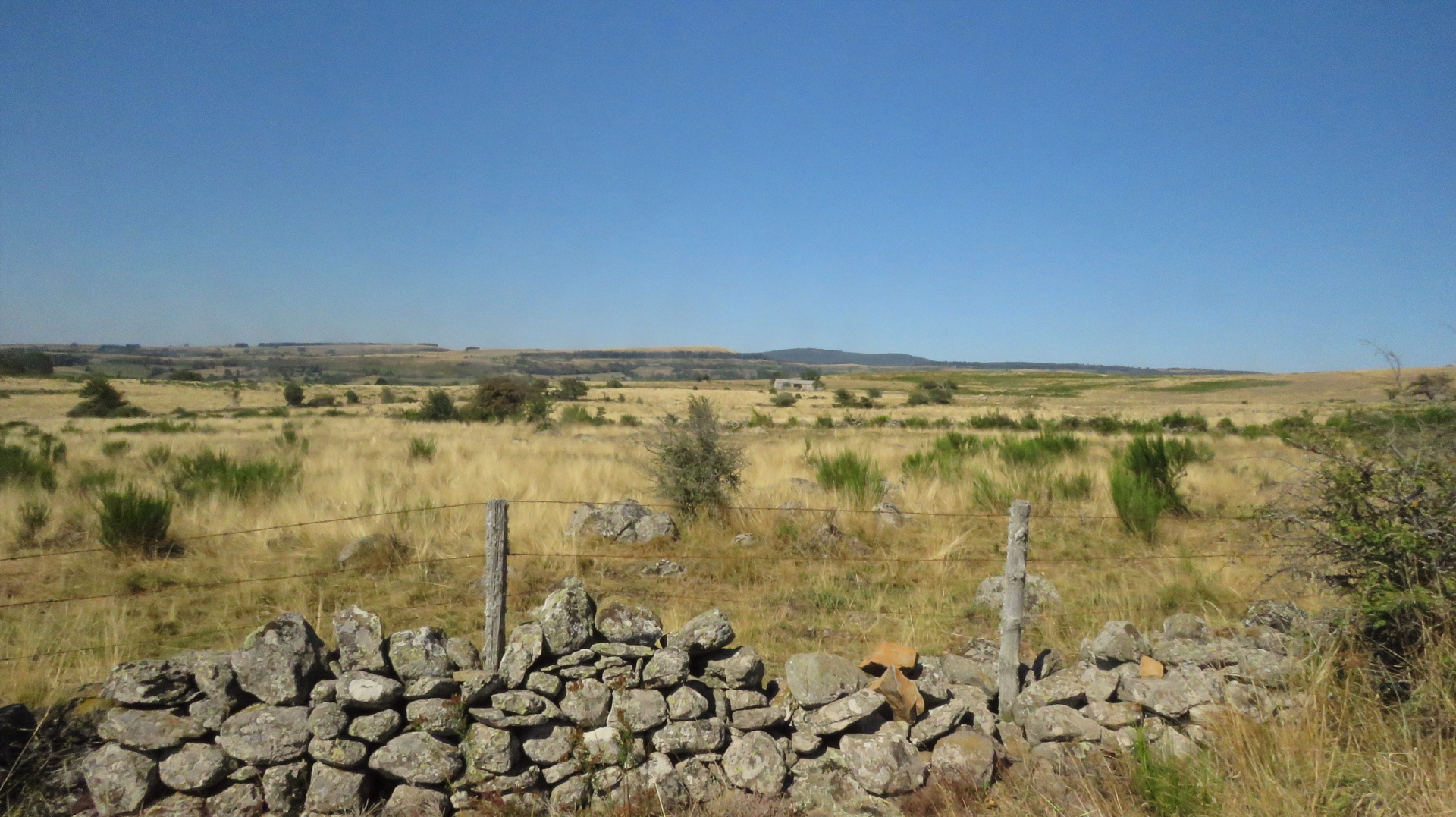 Le tour des Monts d'Aubrac en randonnée