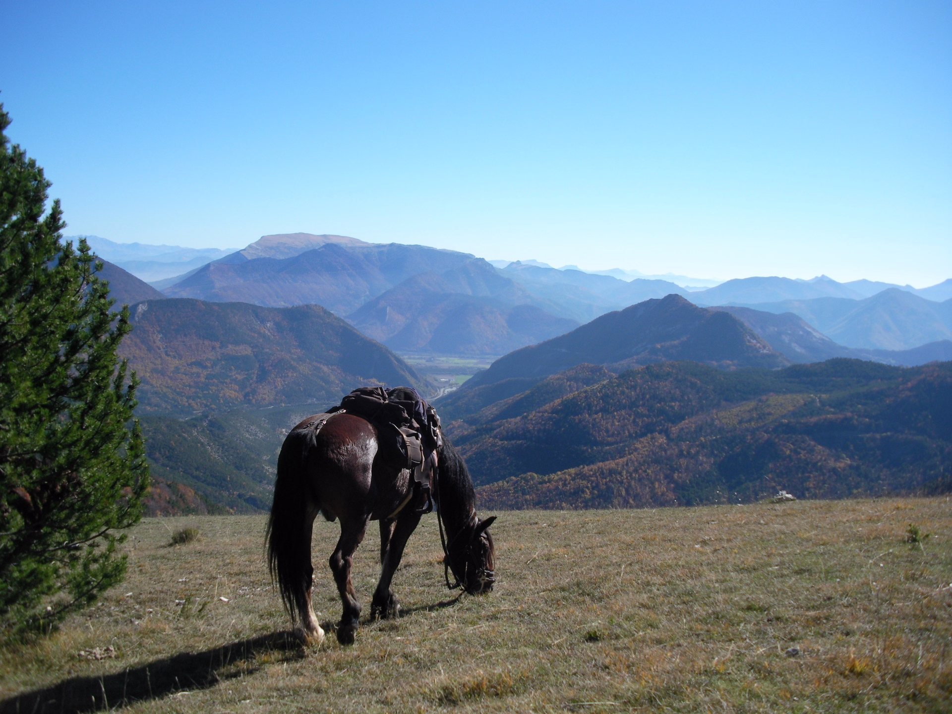 3 jours à cheval au cœur des Hautes-Alpes