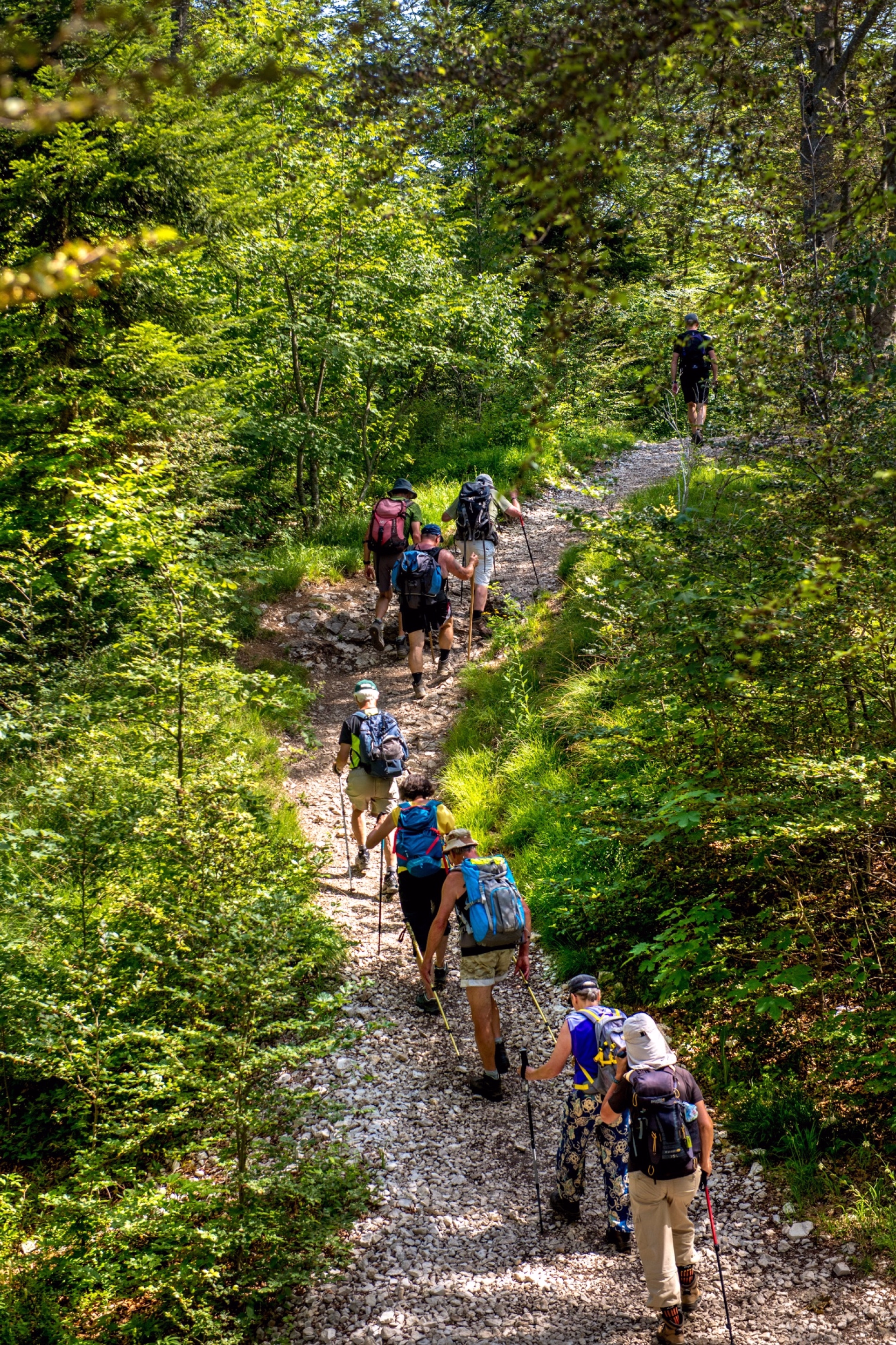 Randonnée et terroir au cœur des Montagnes du Jura