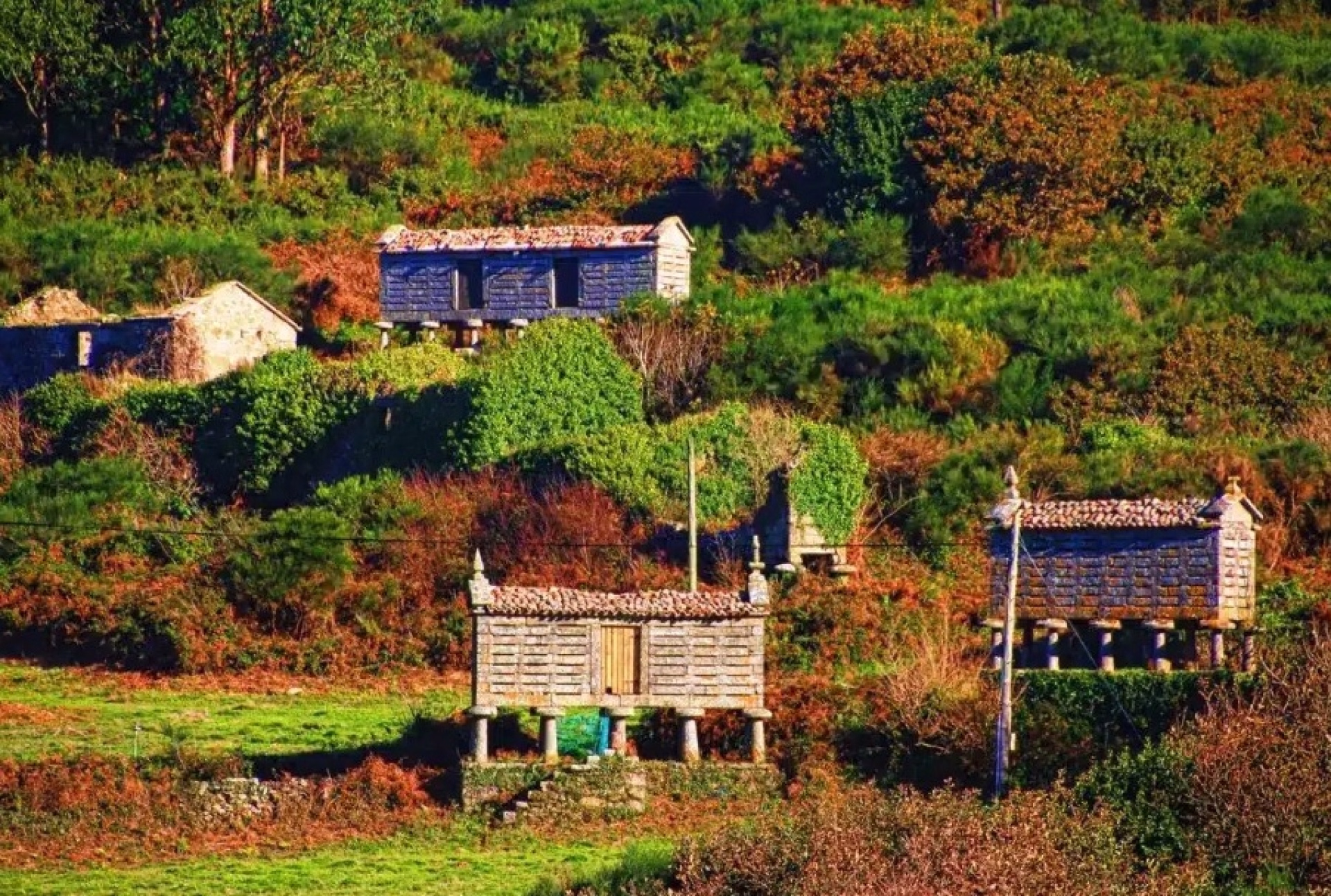 Randonnée sur le Camiño dos Faros