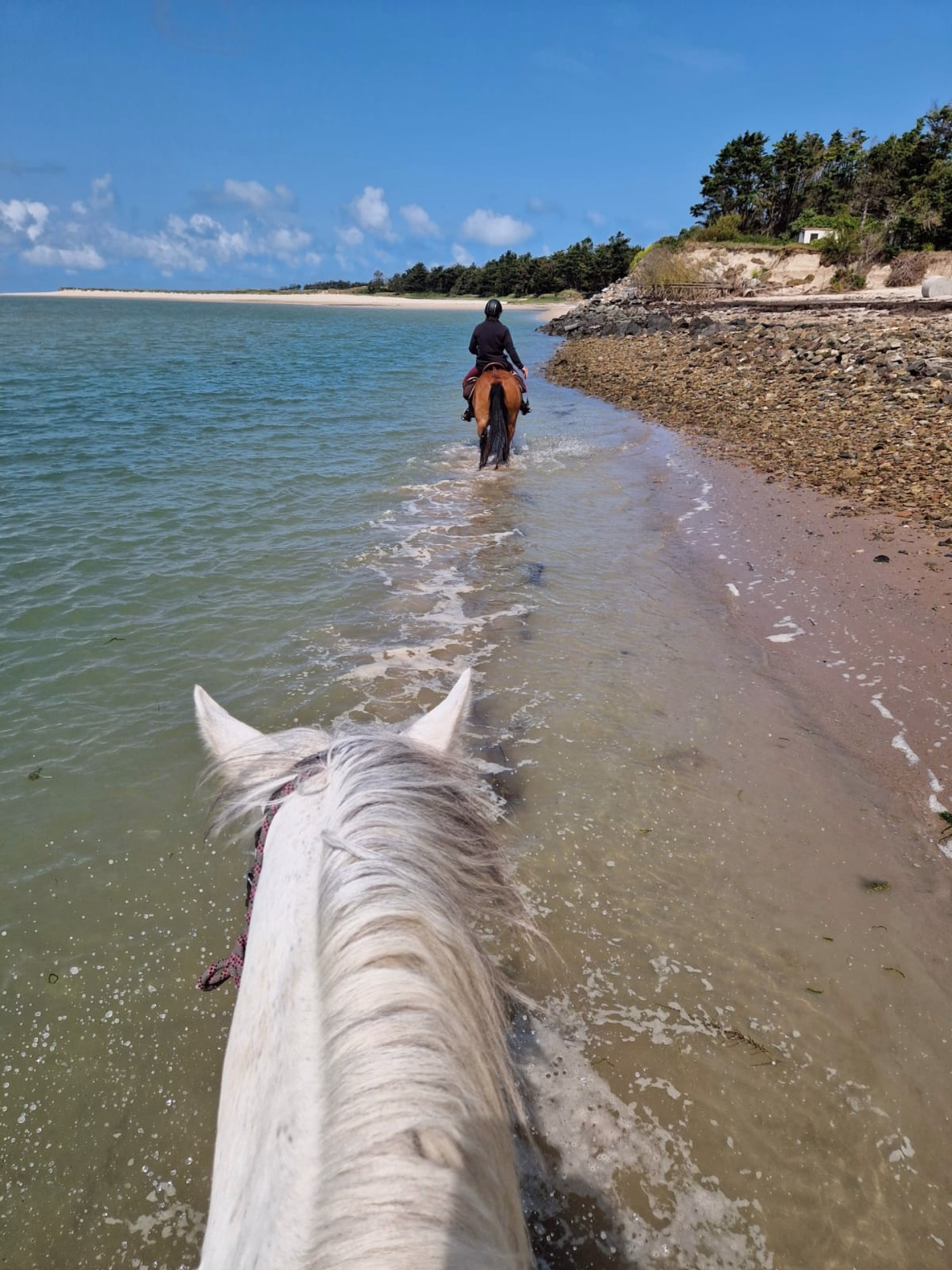 Randonnée à cheval vers les plages de la Vanlée