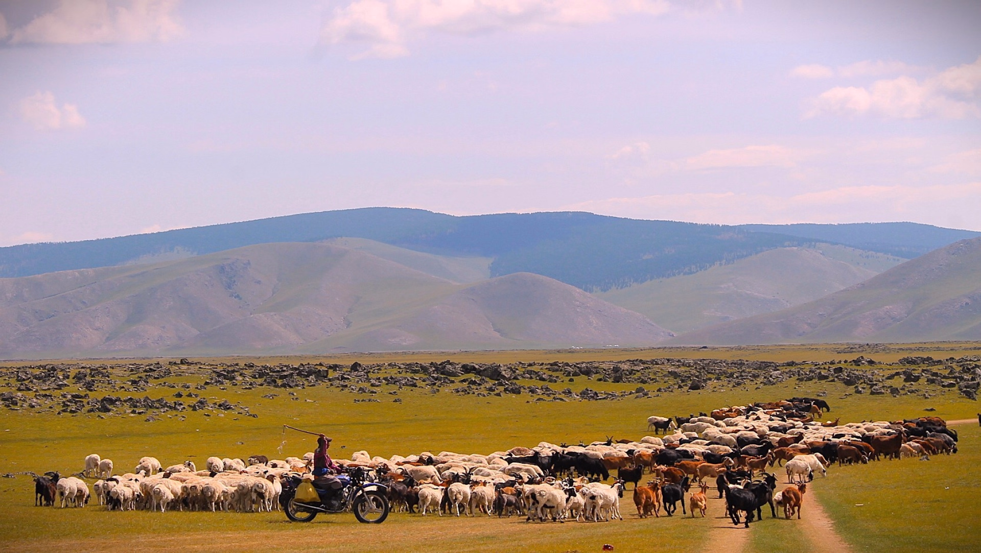 Immersion en Famille nomade