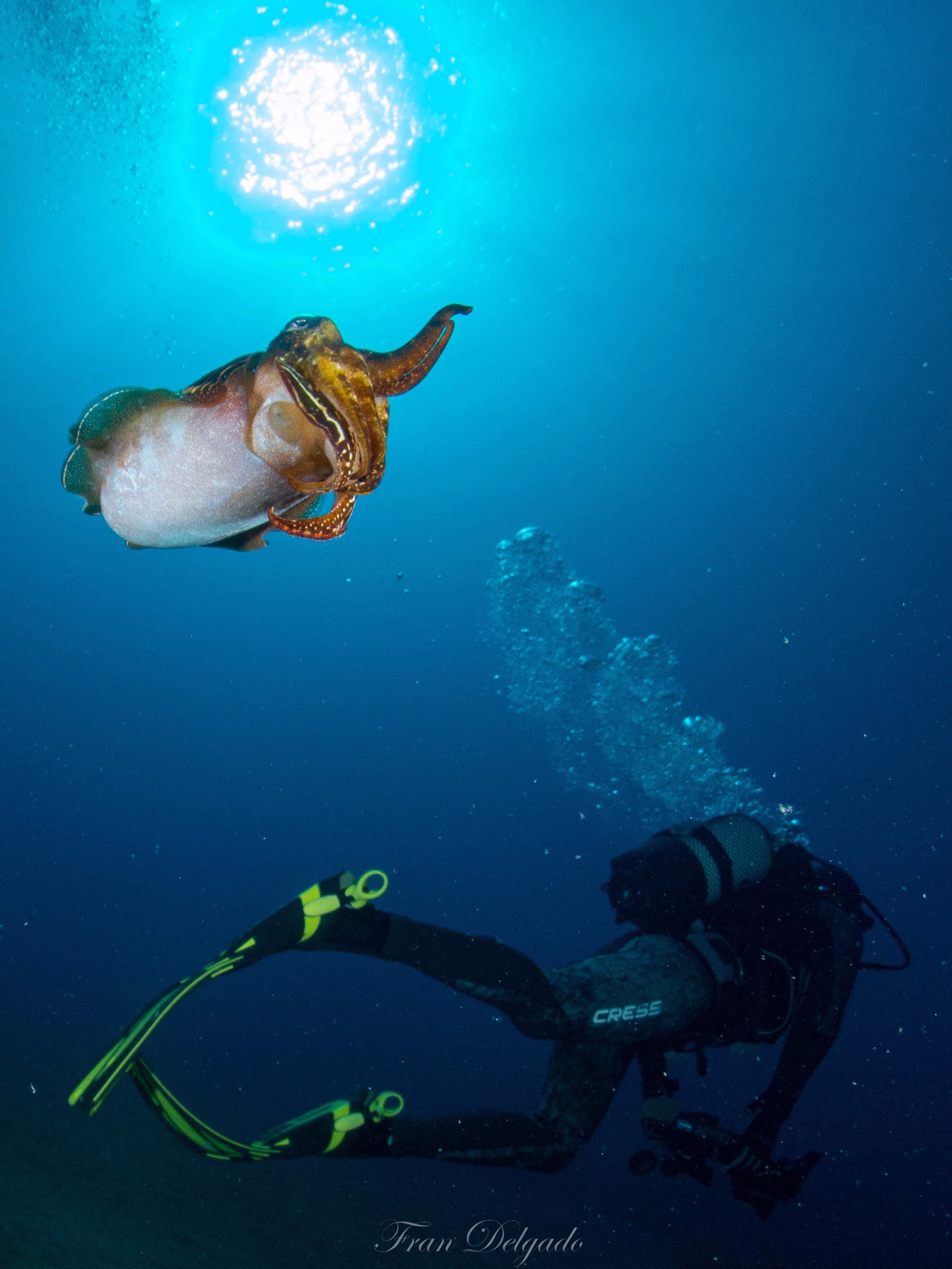 Certification plongée Open Water à Lanzarote