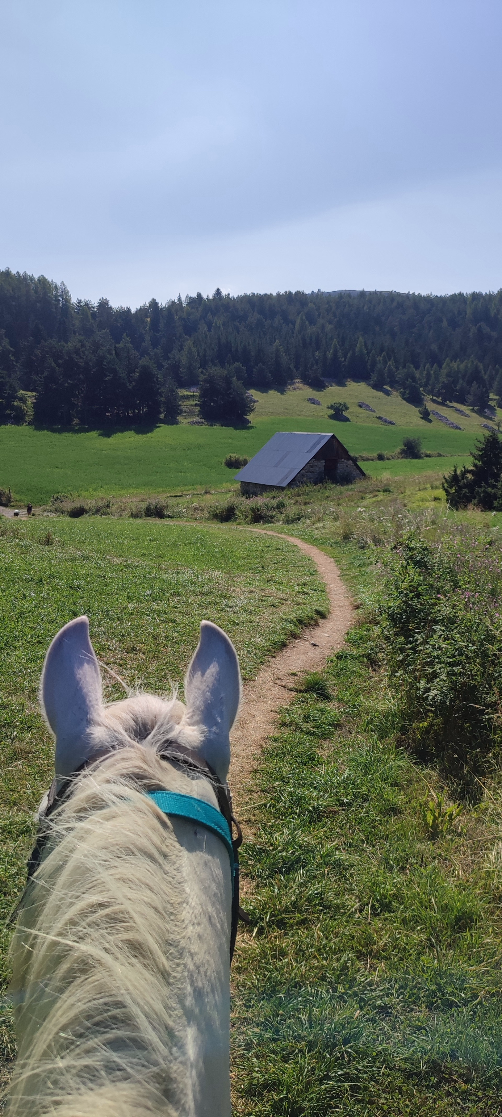Le Dévoluy à cheval : une immersion en montagne de 4 jours