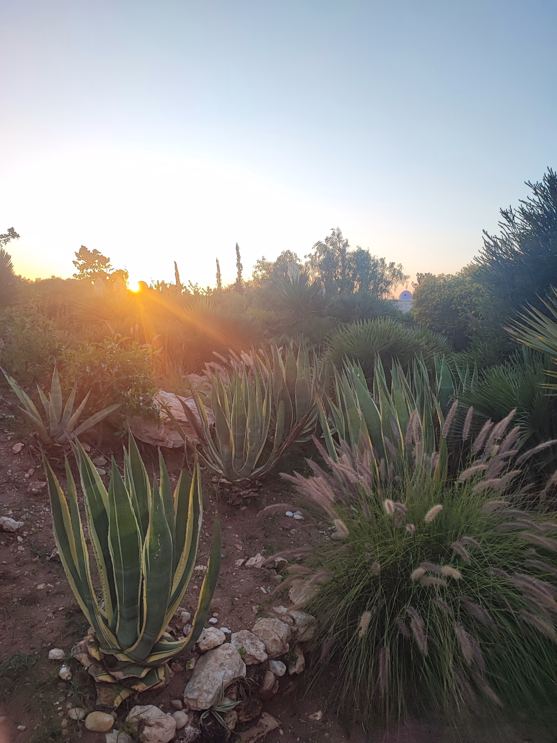 Yoga, Méditation & Bien-être à Essaouira