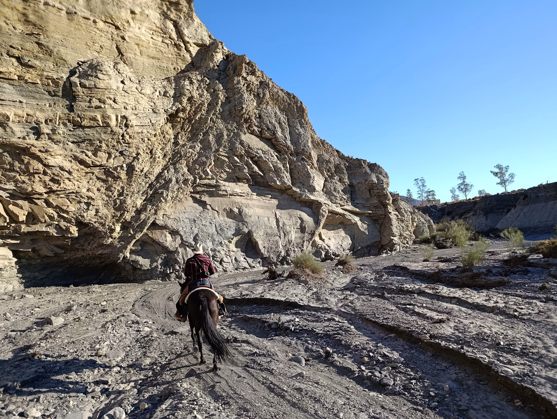 Randonnée équestre dans le désert de Tabernas
