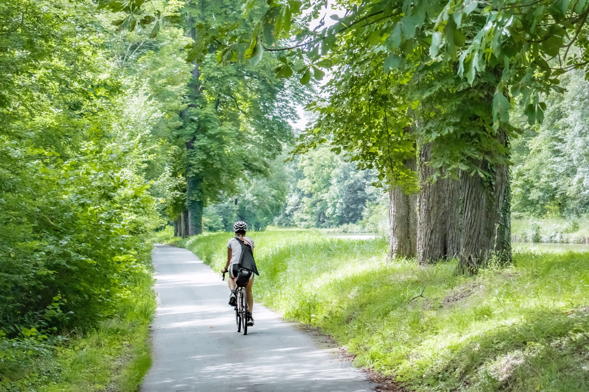 Aventure gravel en Île-de-France entre châteaux et forêts