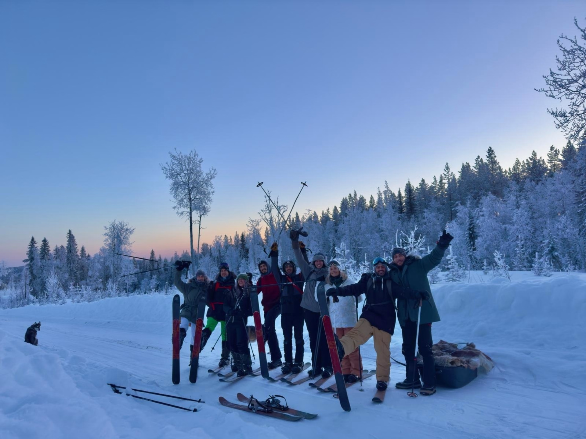 Apprentis Musher en Laponie suédoise