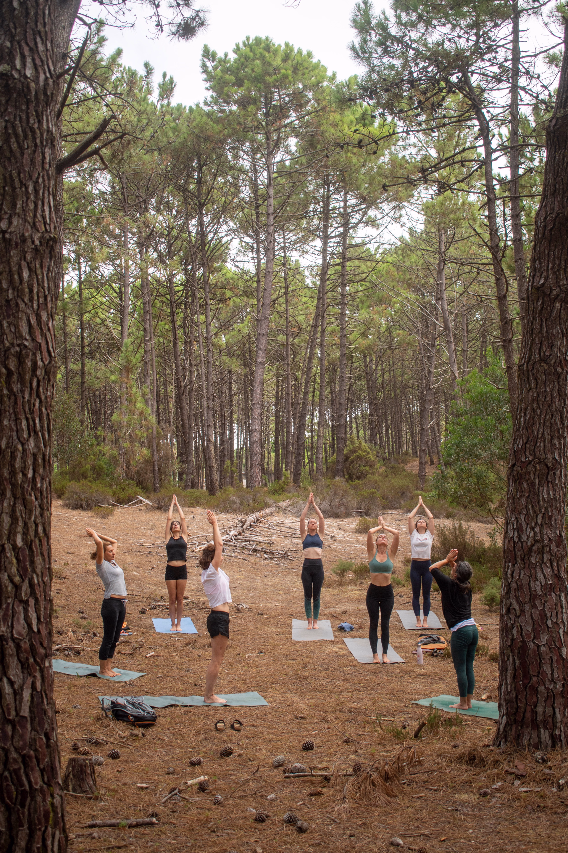 Formule Surf & Yoga à Peniche