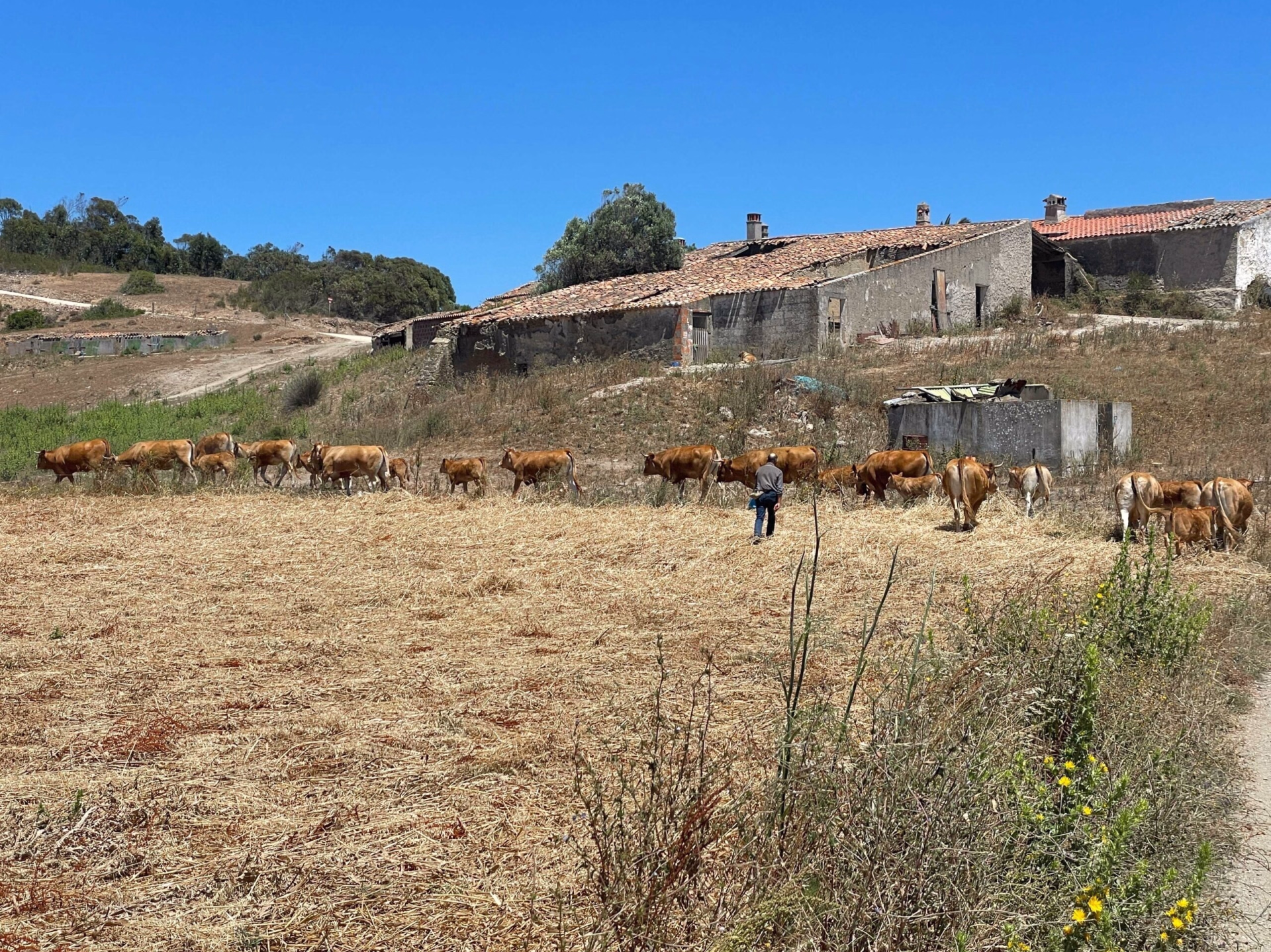 Explorez les plus beaux sites de l'Algarve en vélo gravel