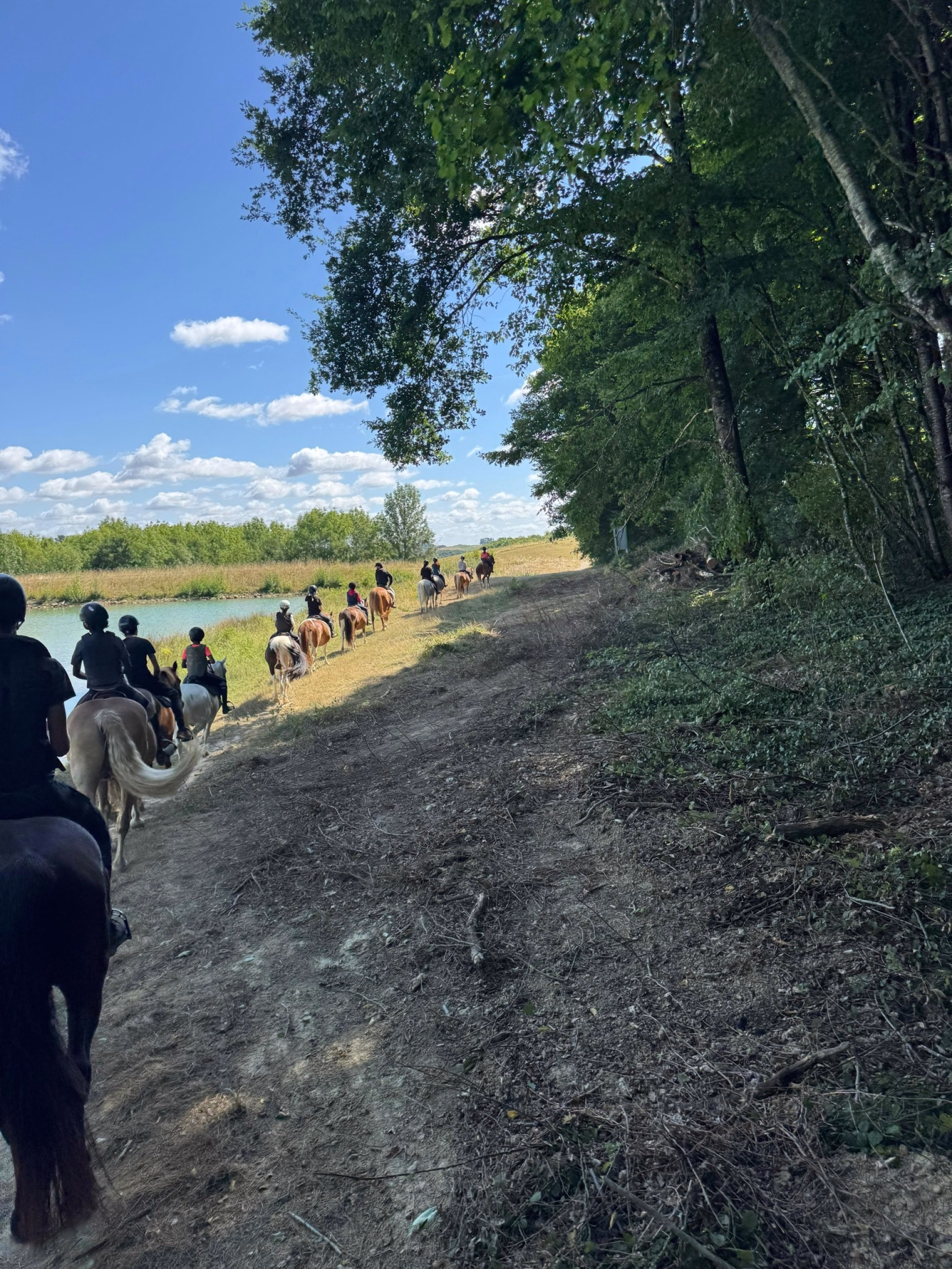 Randonnée à cheval en autonomie à Lupiac dans le Gers