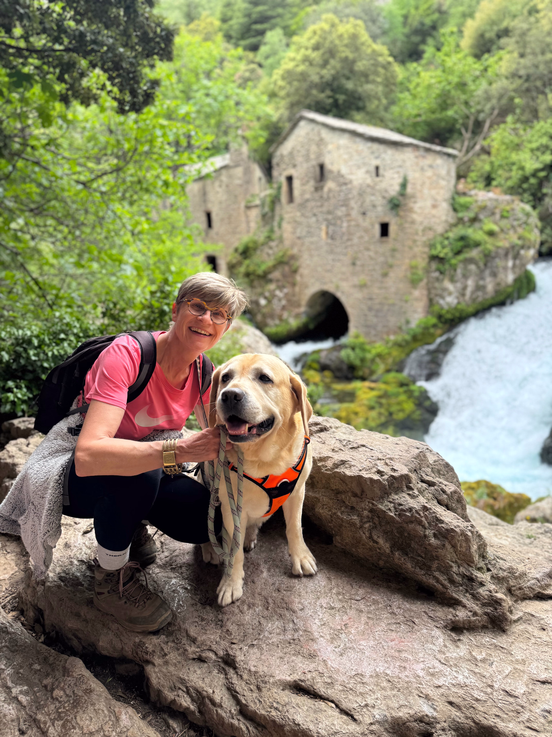 Séjour randonnée et doga dans le Gard avec votre chien