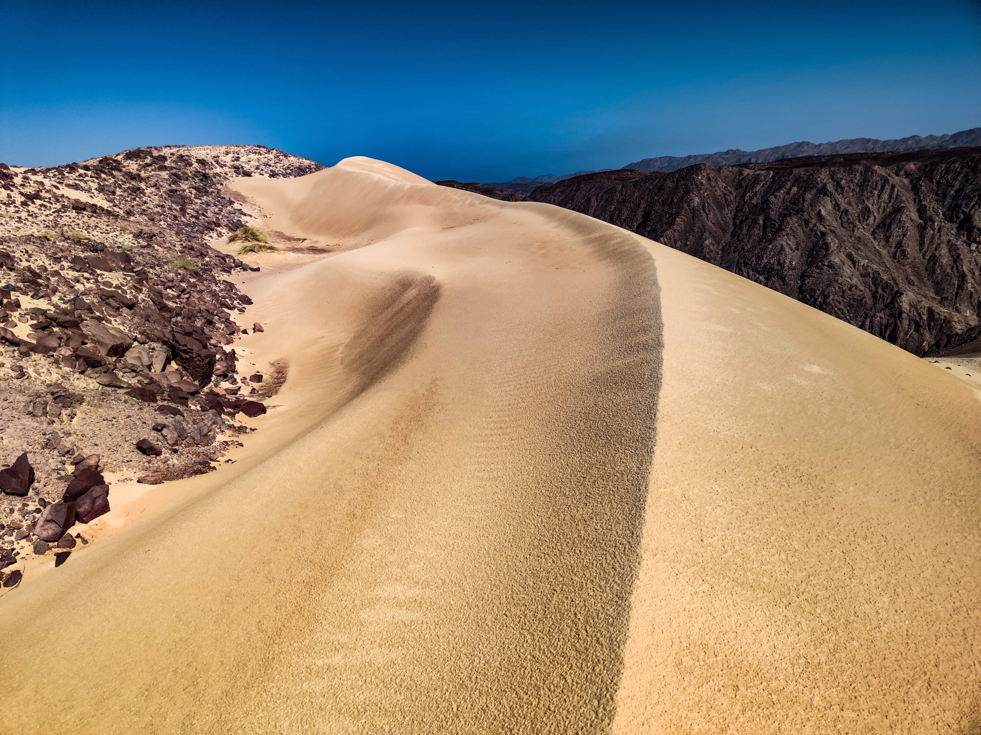 Expédition Sinaï : pack 10 plongées et safari désertique